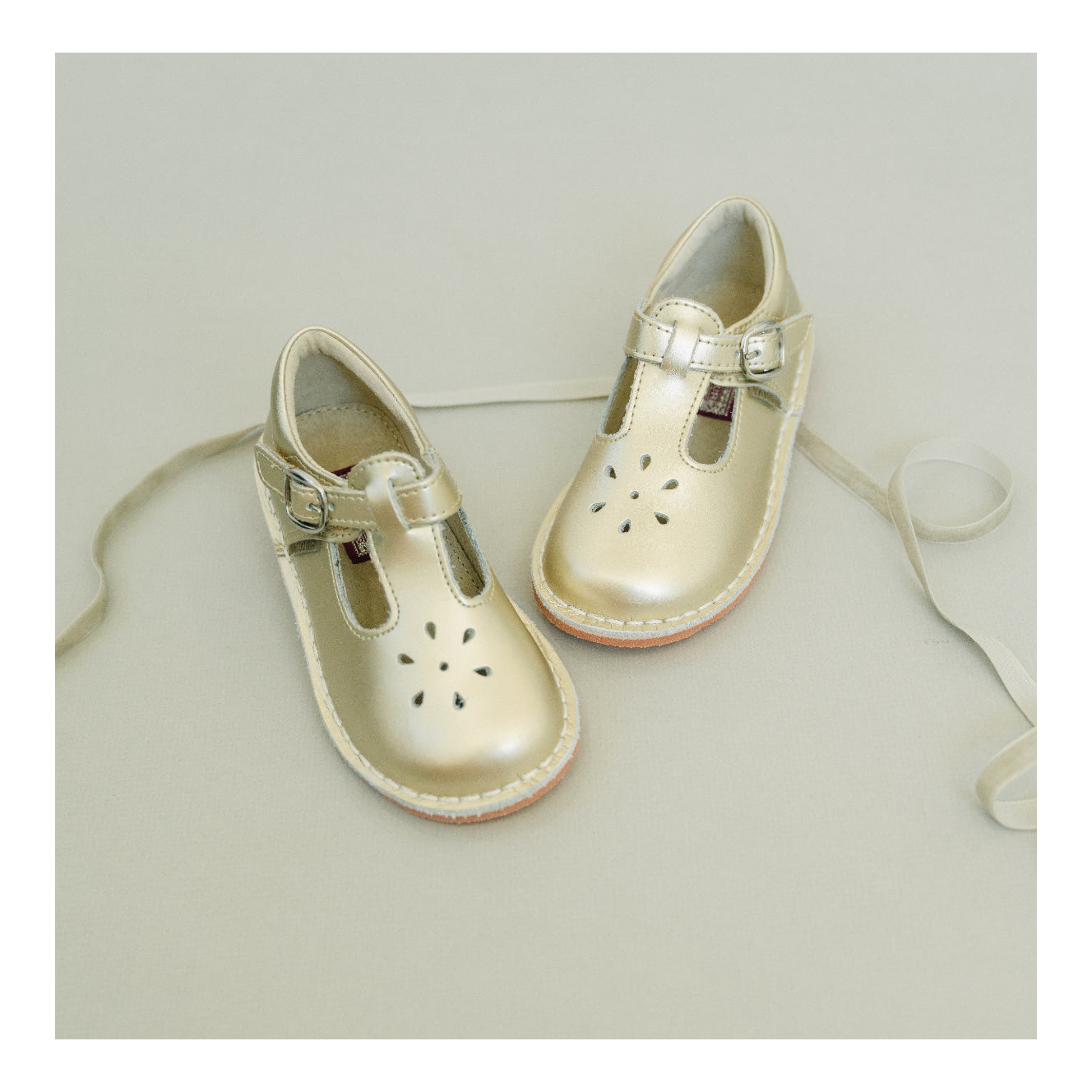 Joy Metallic Leather T-strap Mary Jane