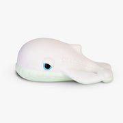 Walter the Whale
