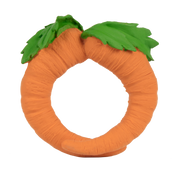Cathy the Carrot