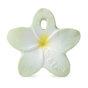 Bali the Flower