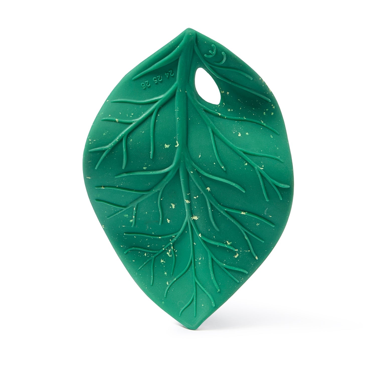 Chlorophyll Leaf