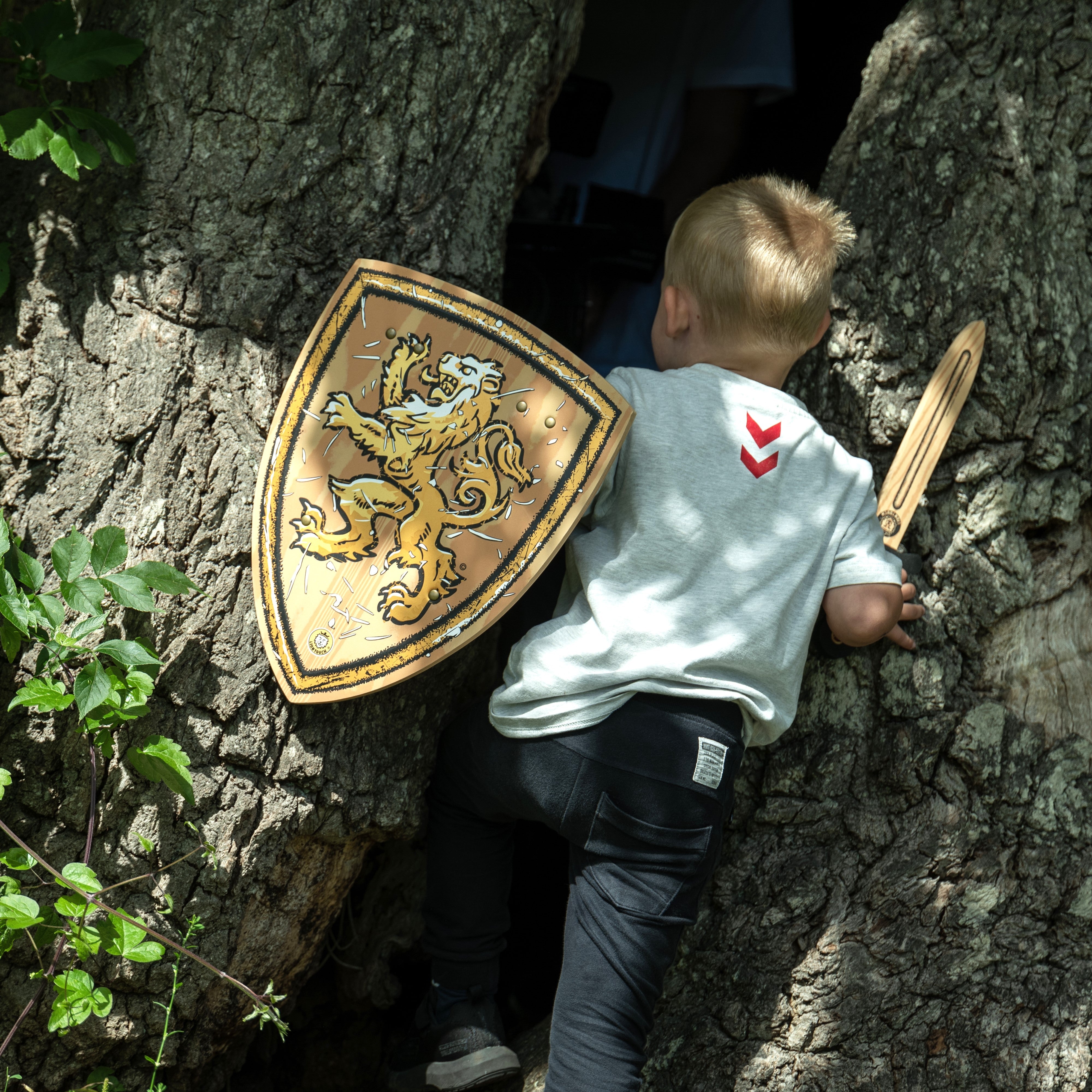 Woodylion Shield