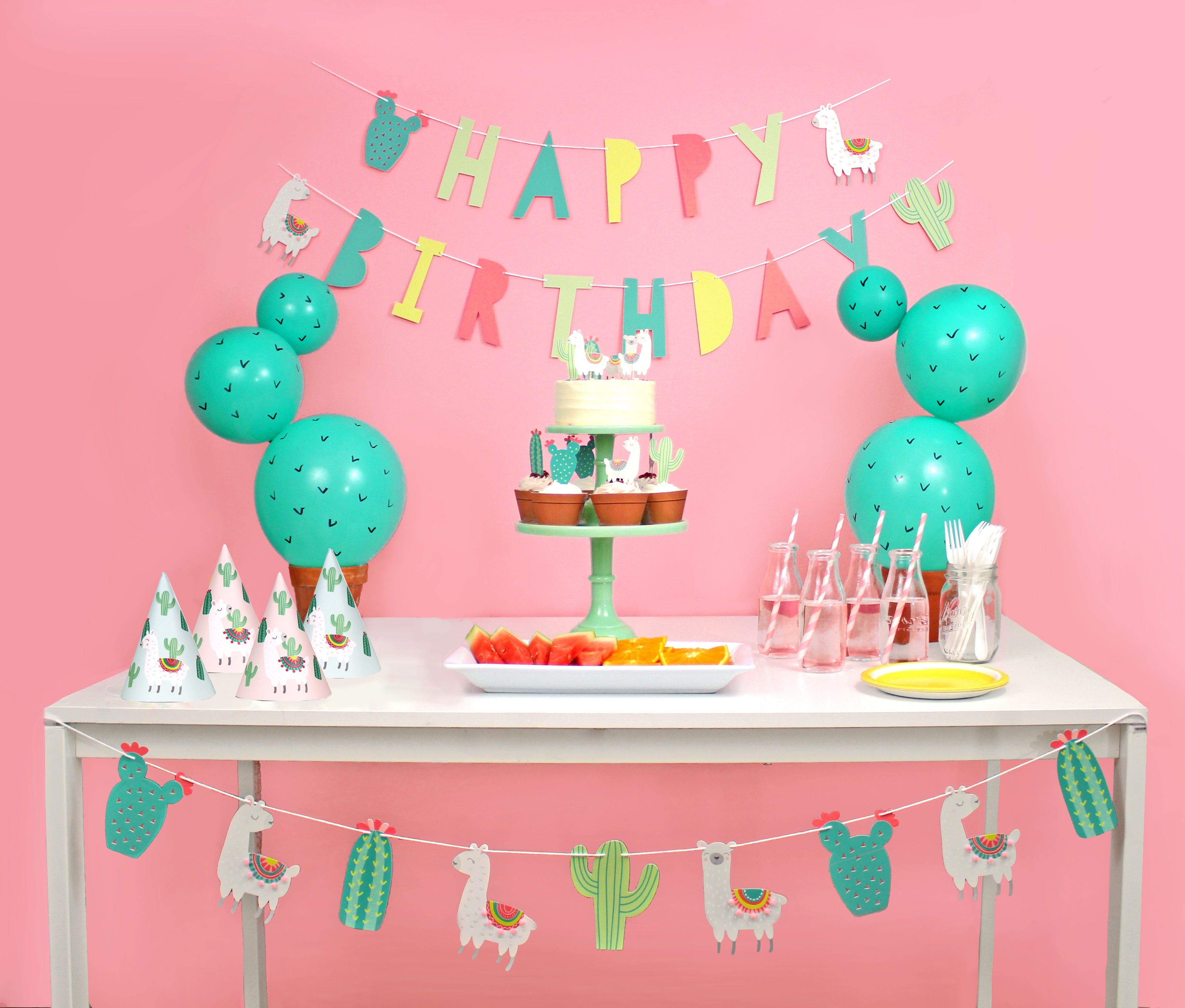 Llama And Cactus Party - Birthday Party Decoration Kit - 12 Guests