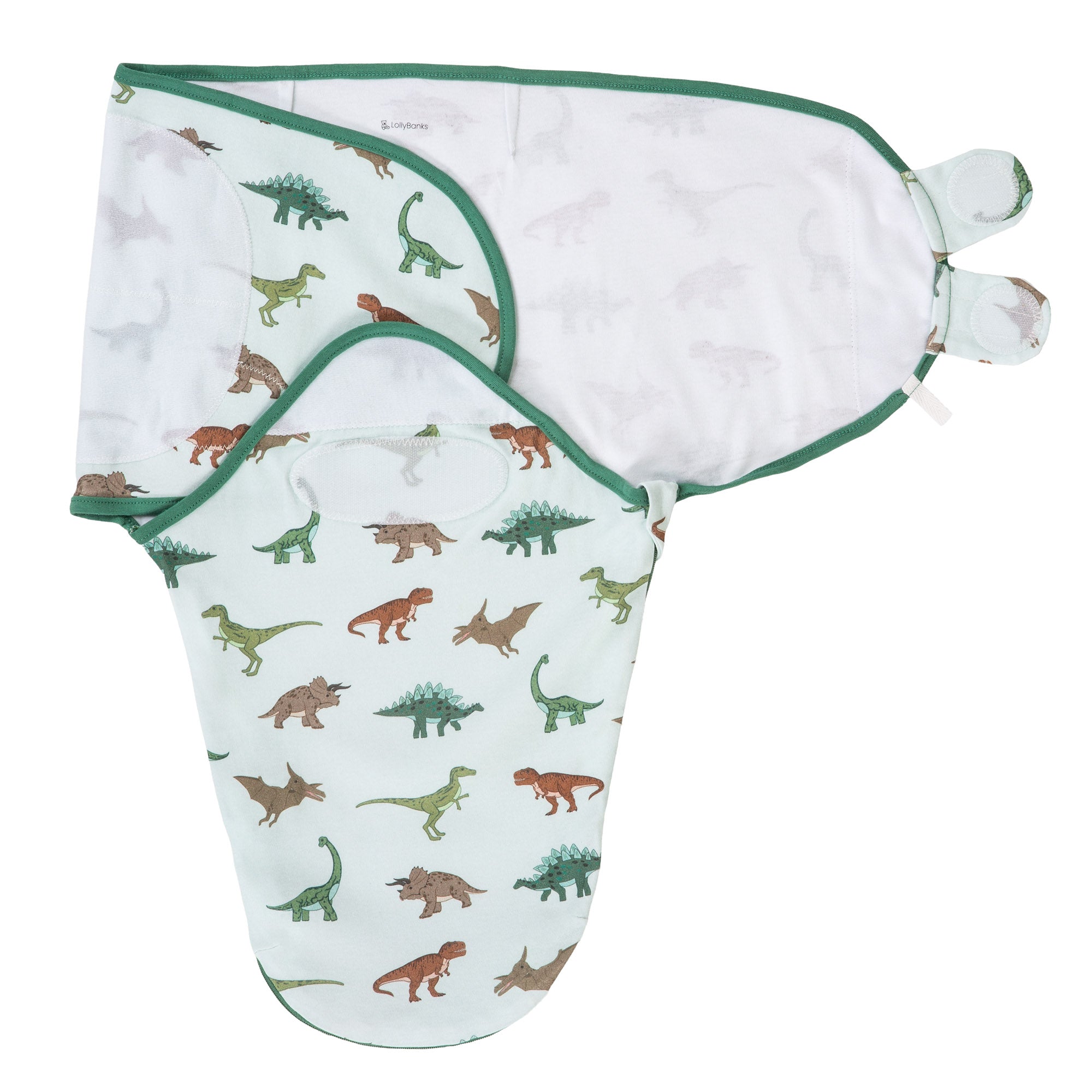 Have A T-rexcellent Day Swaddle Sack