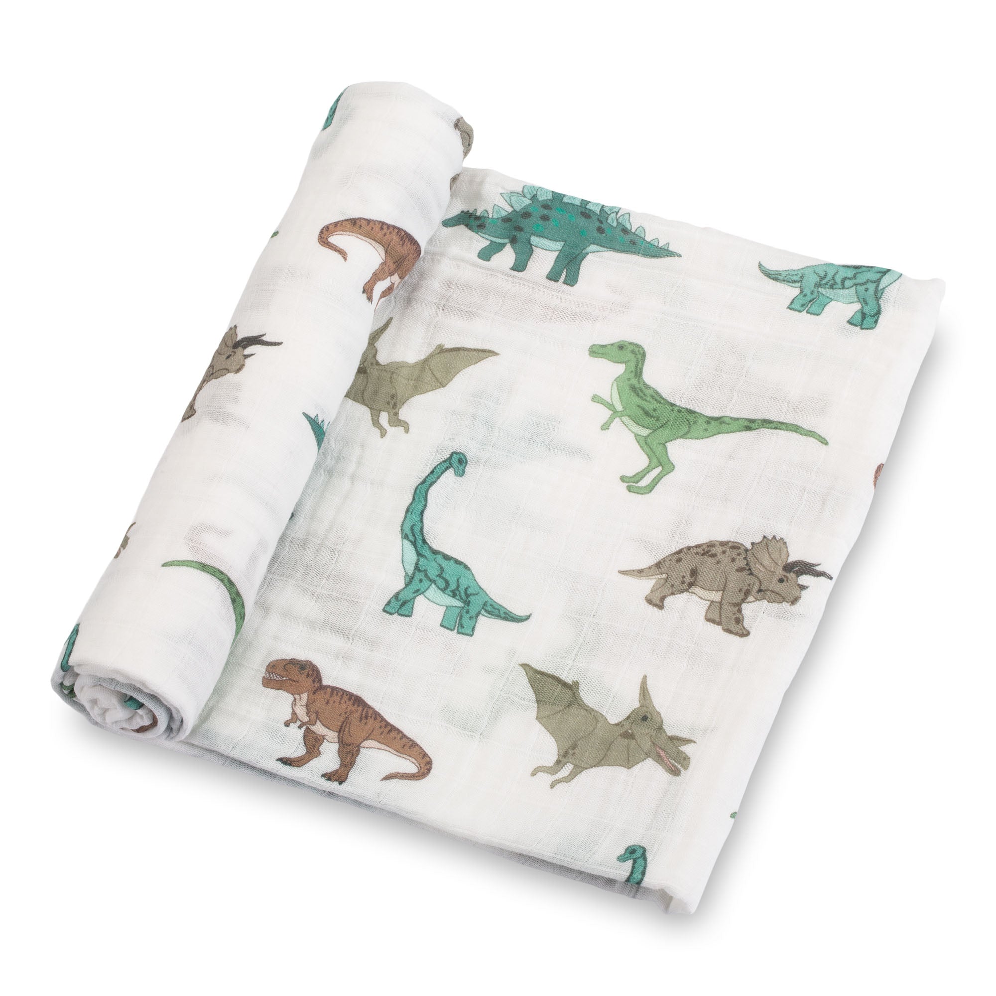 Have A T-rexcellent Day Swaddle