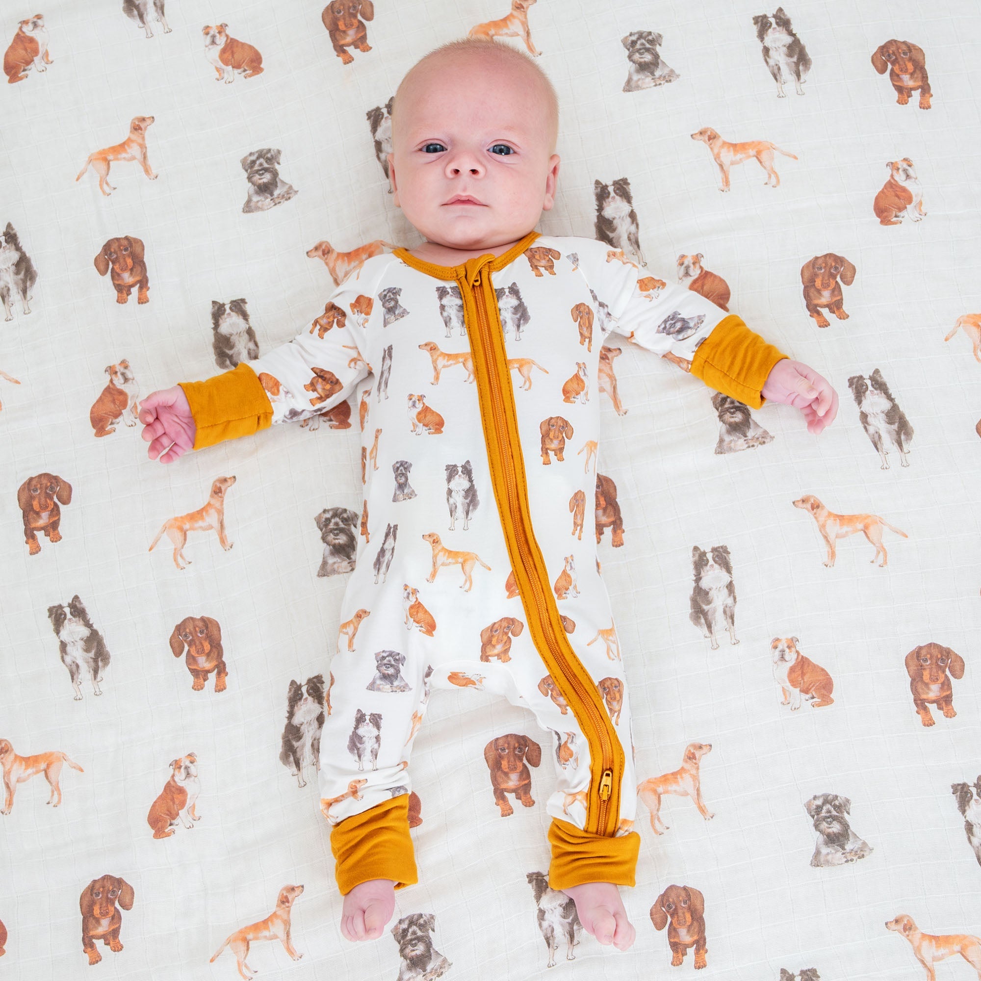 Doggone Cute Zipper One Piece Pajama