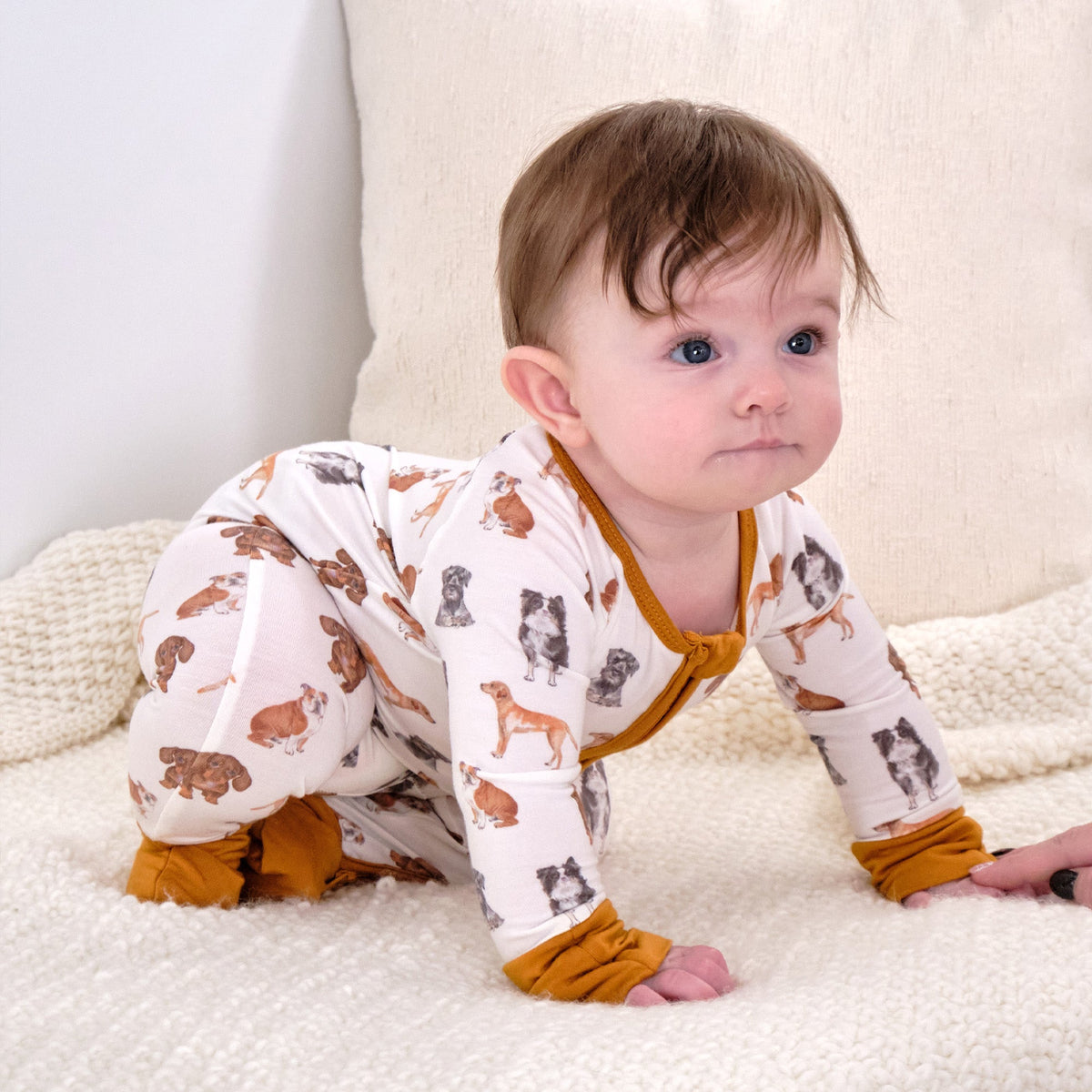 Doggone Cute Zipper One Piece Pajama