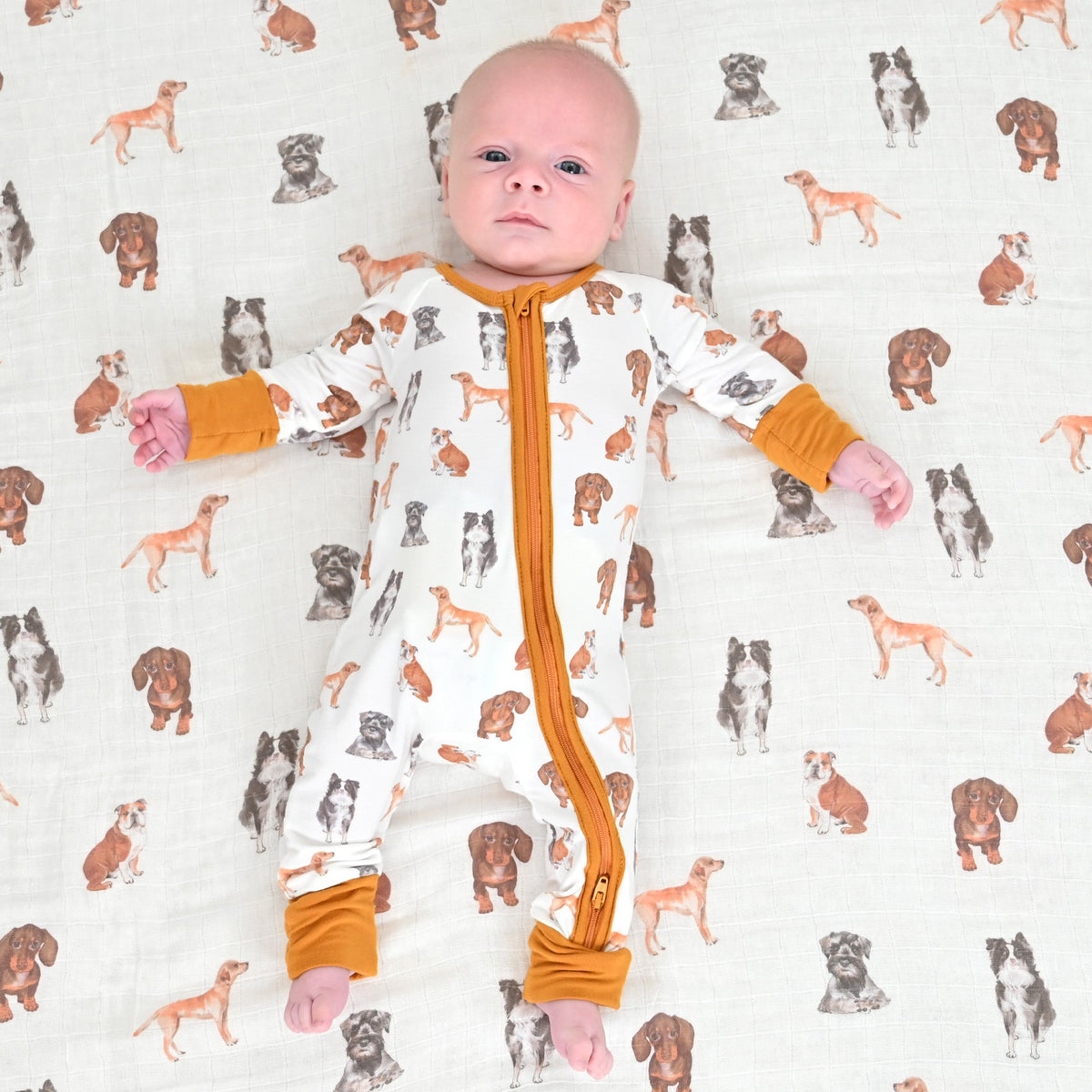 Doggone Cute Zipper One Piece Pajama