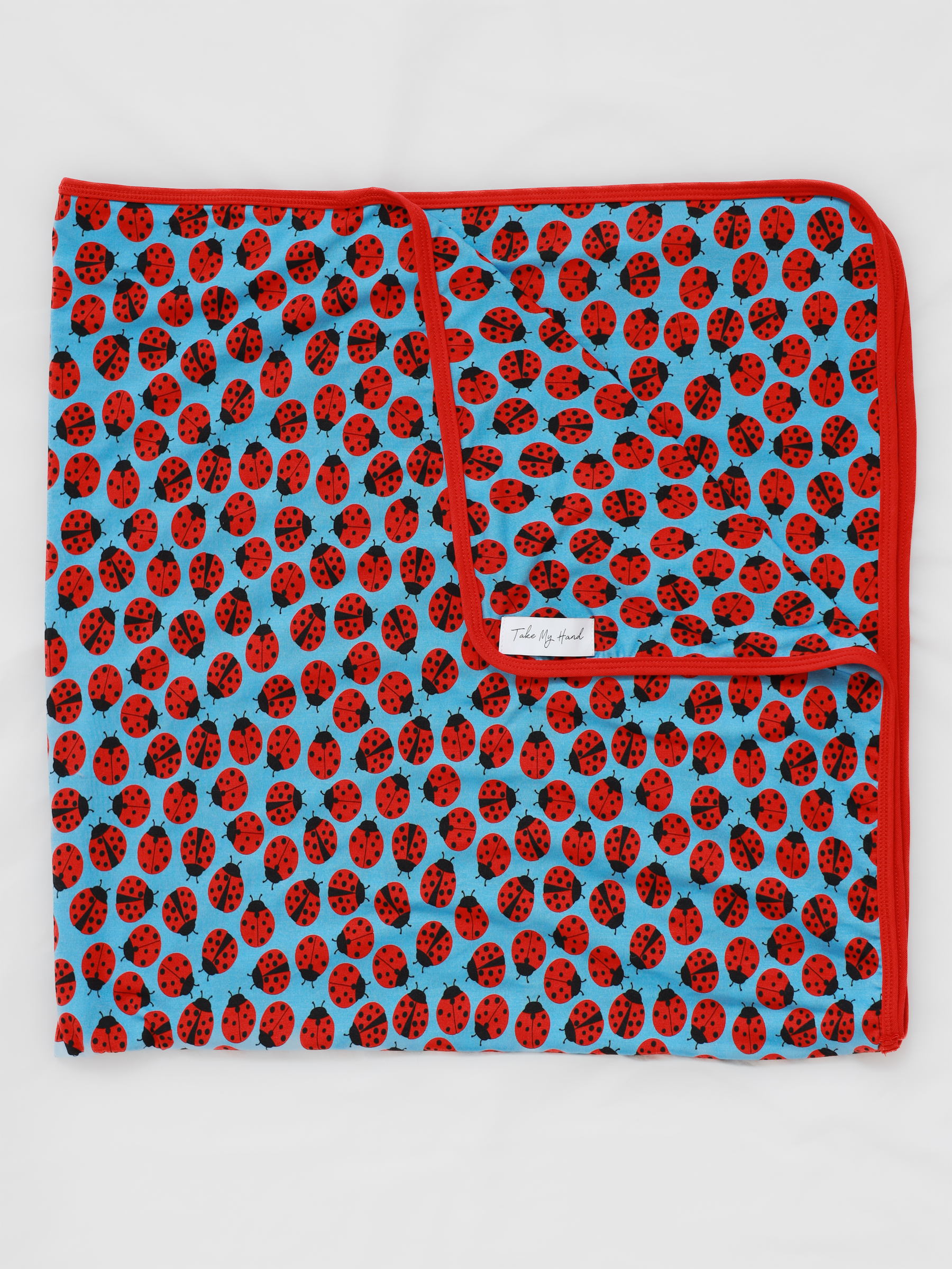 Ladybugs Blankie