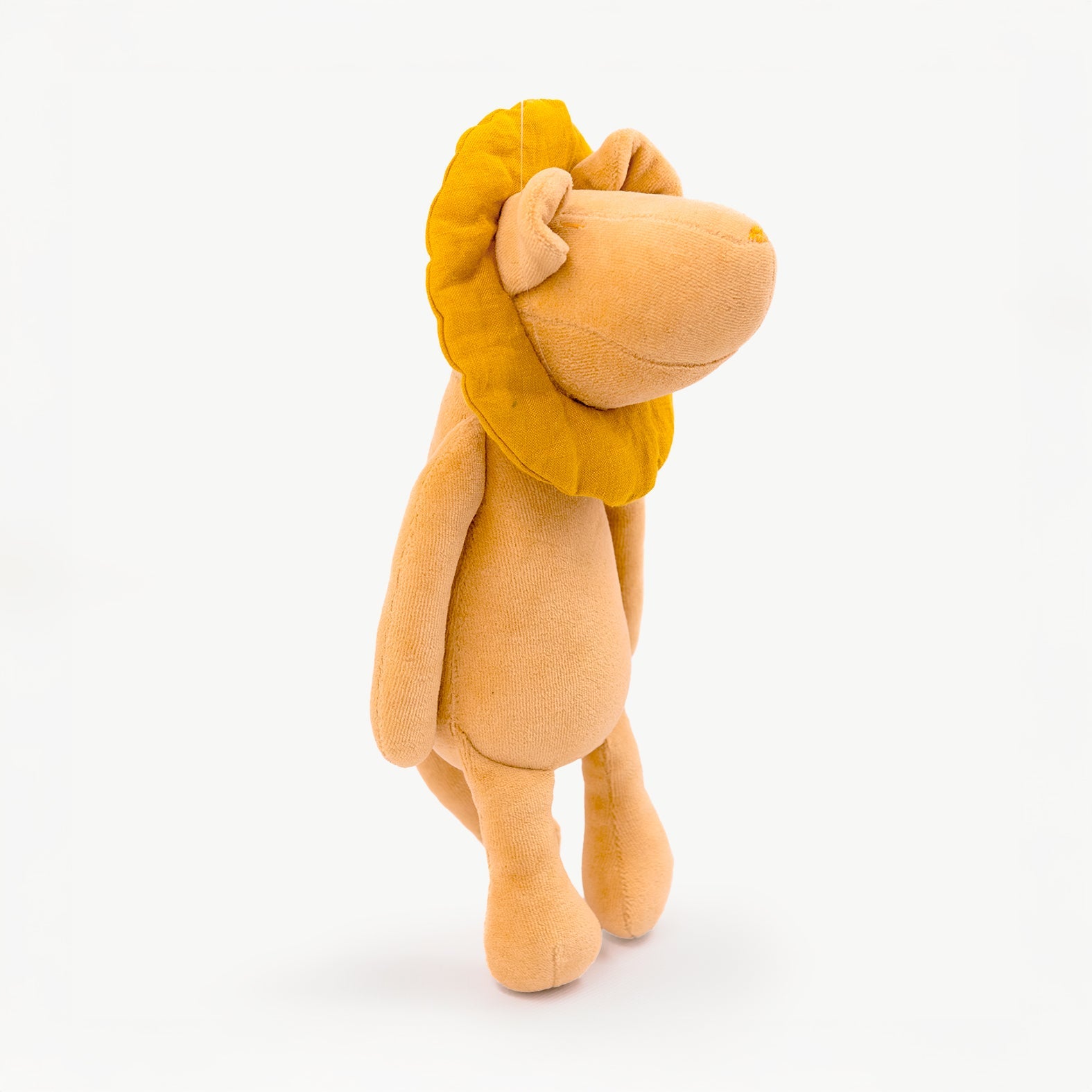 Leo The Cub - M