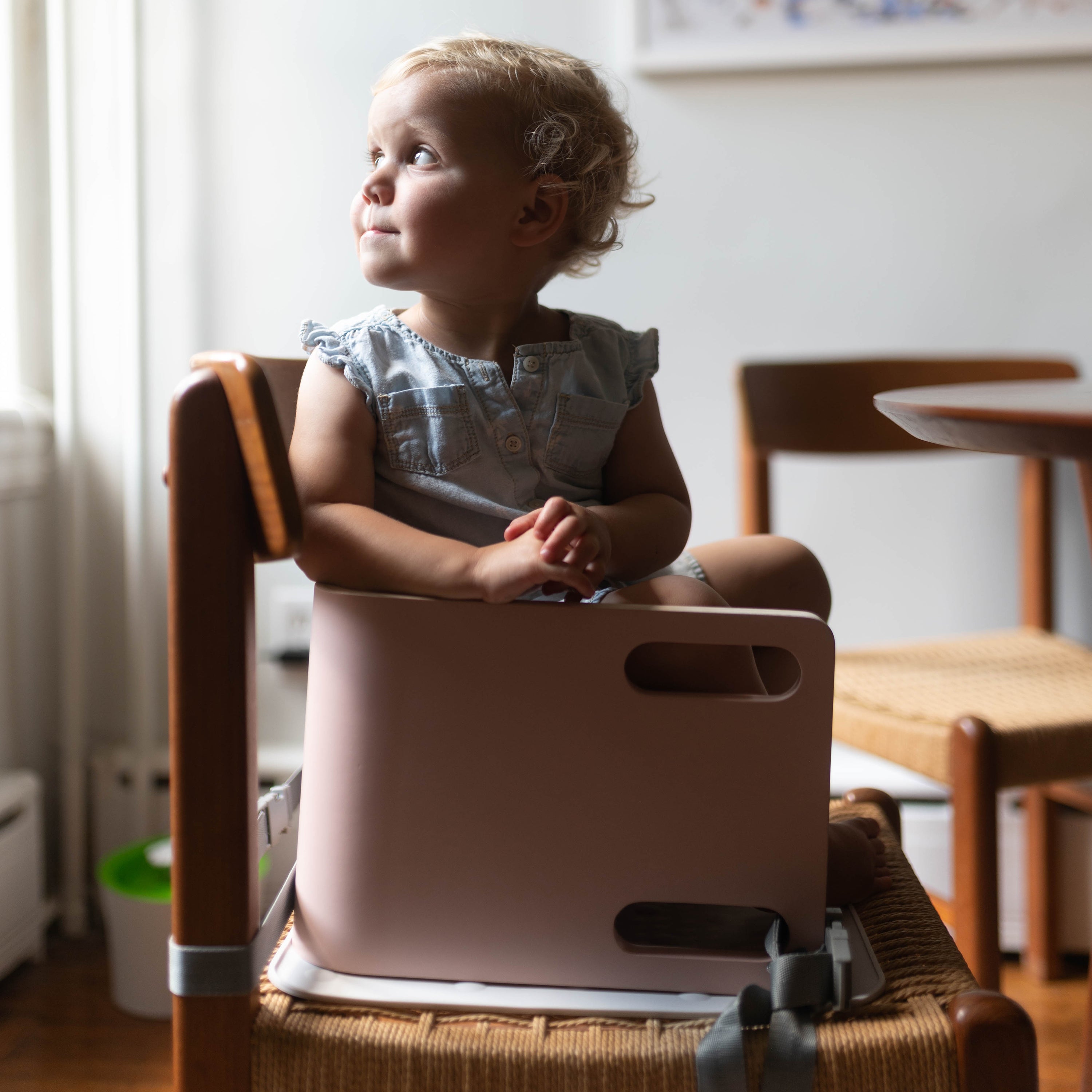 Copy Of 3-in-1 Learning Booster Seat And Step Stool