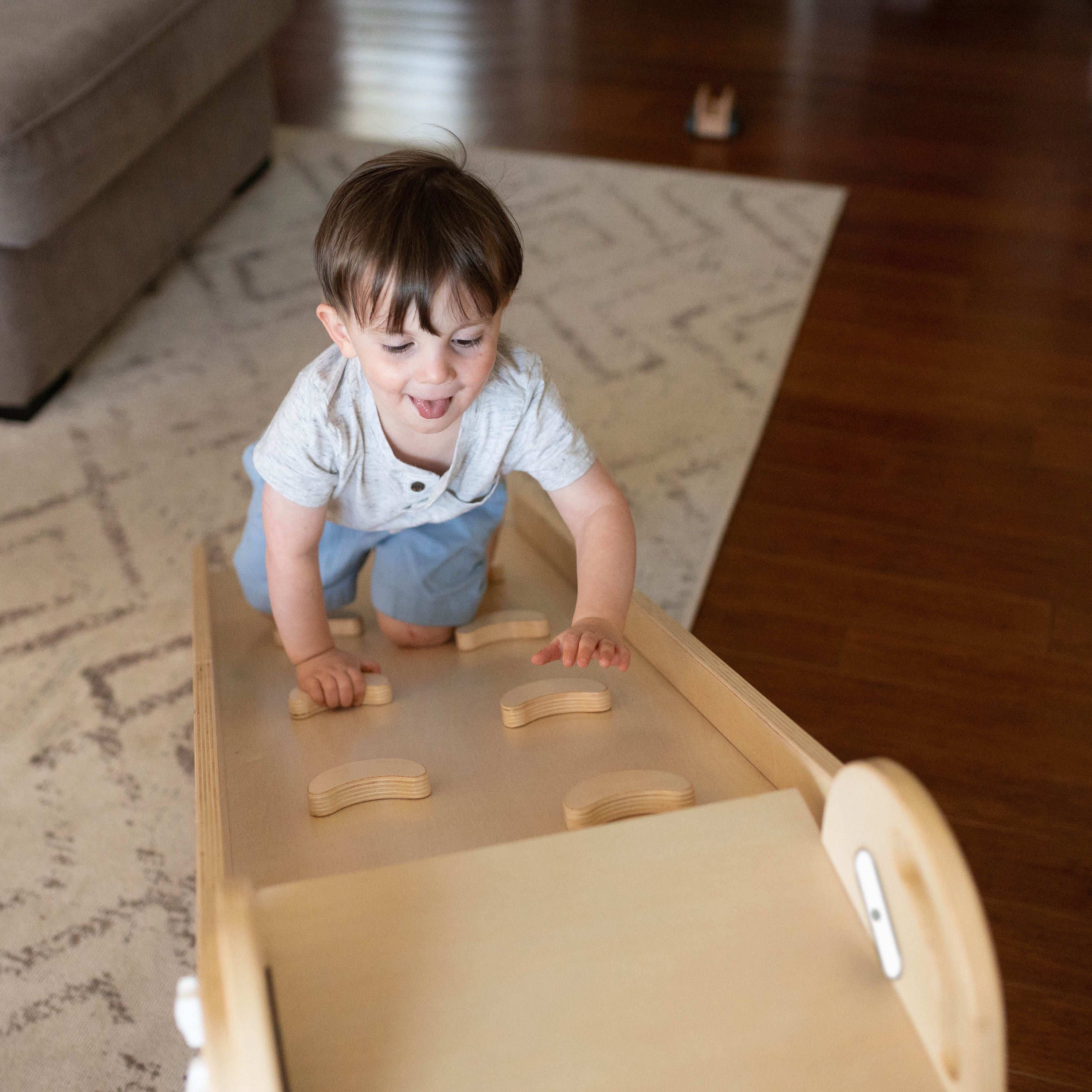 Copy Of 2-in-1 Learn 'n Slide/climb