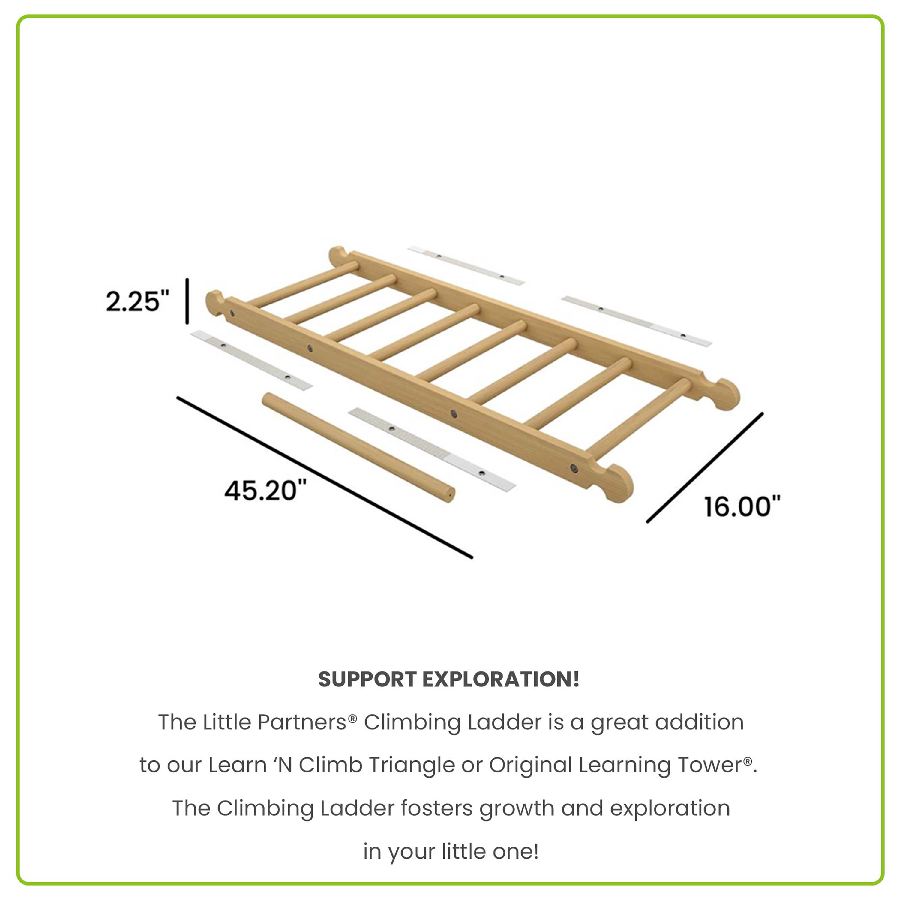 Copy Of Climbing Ladder