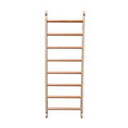 Climbing Ladder