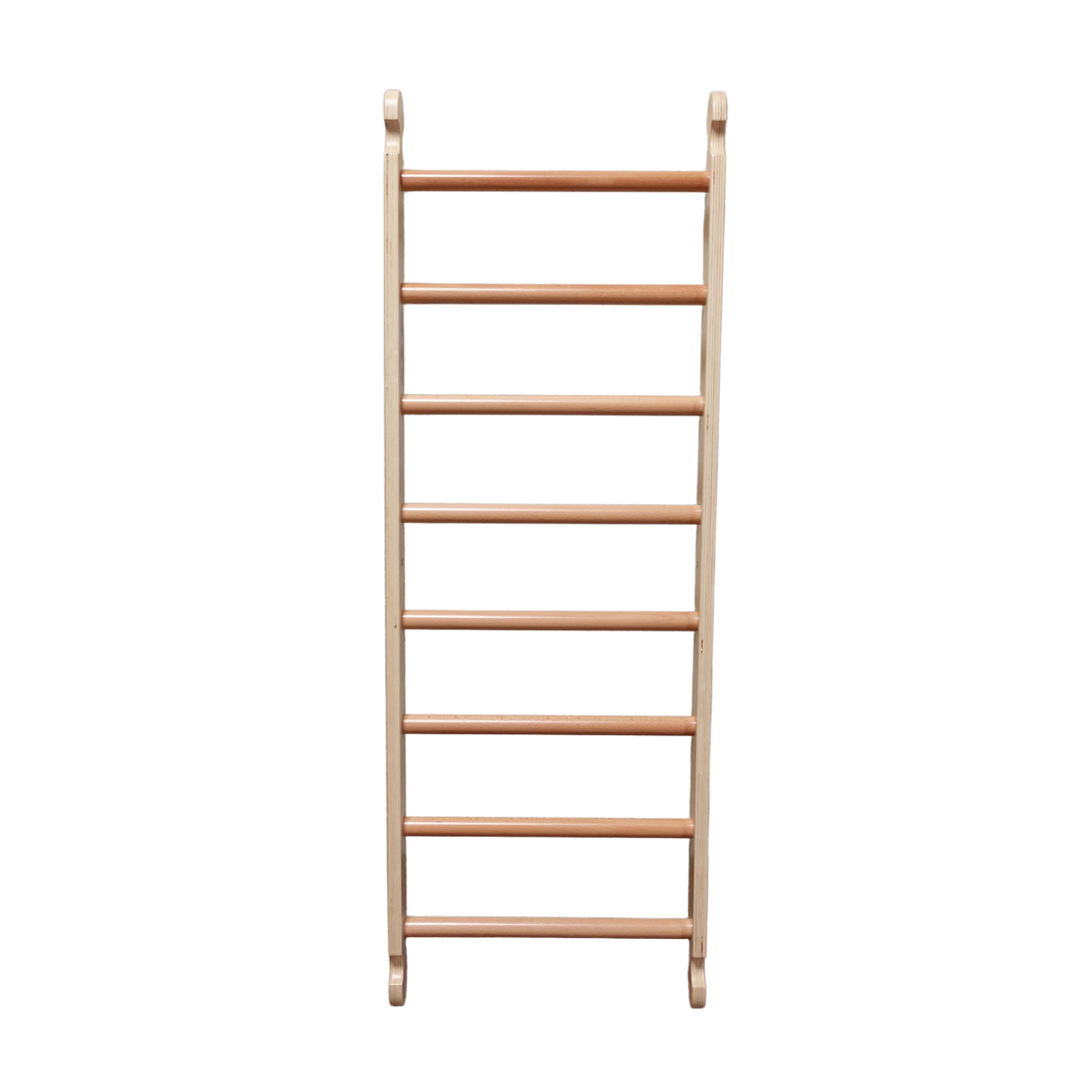 Copy Of Climbing Ladder