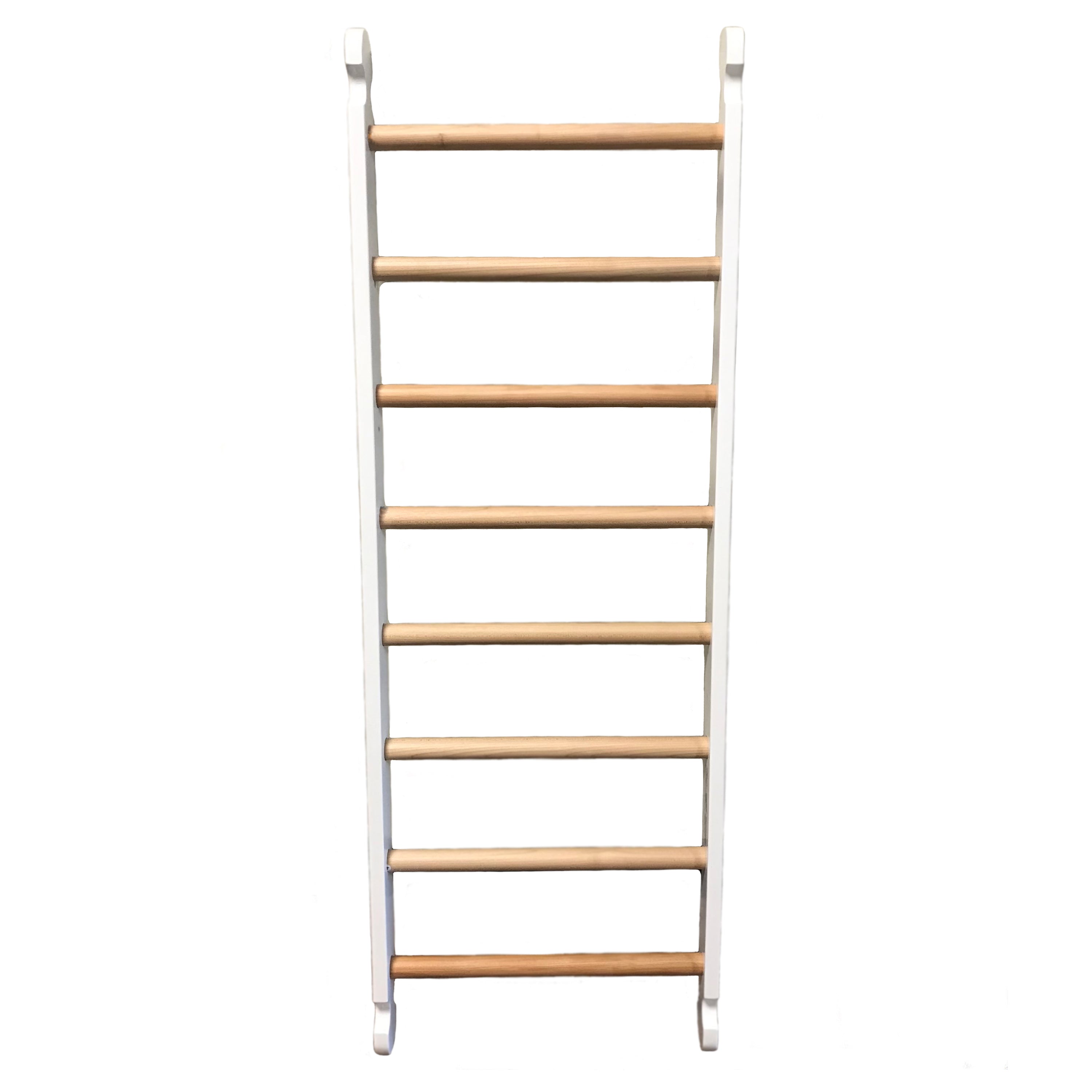 Copy Of Climbing Ladder