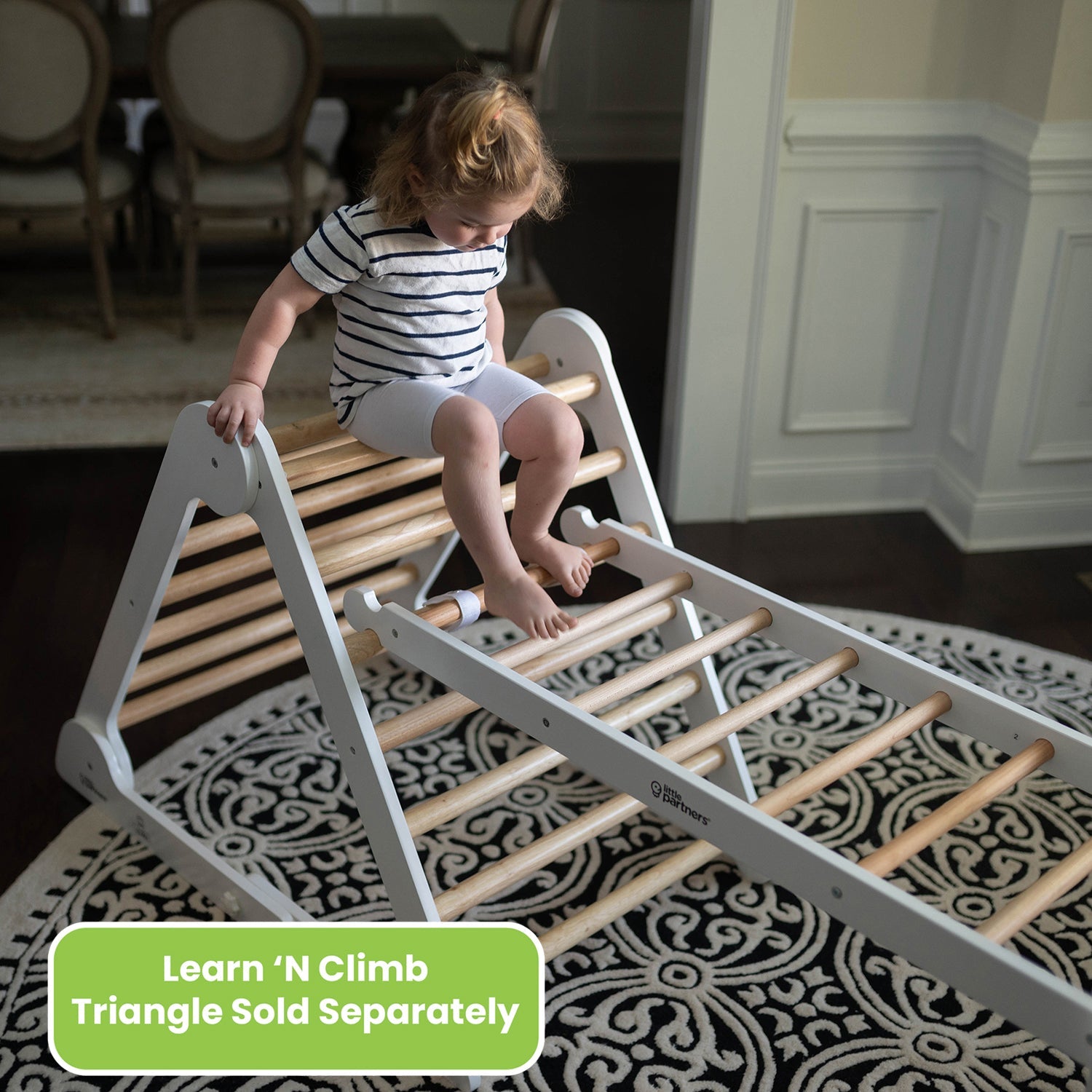 Climbing Ladder