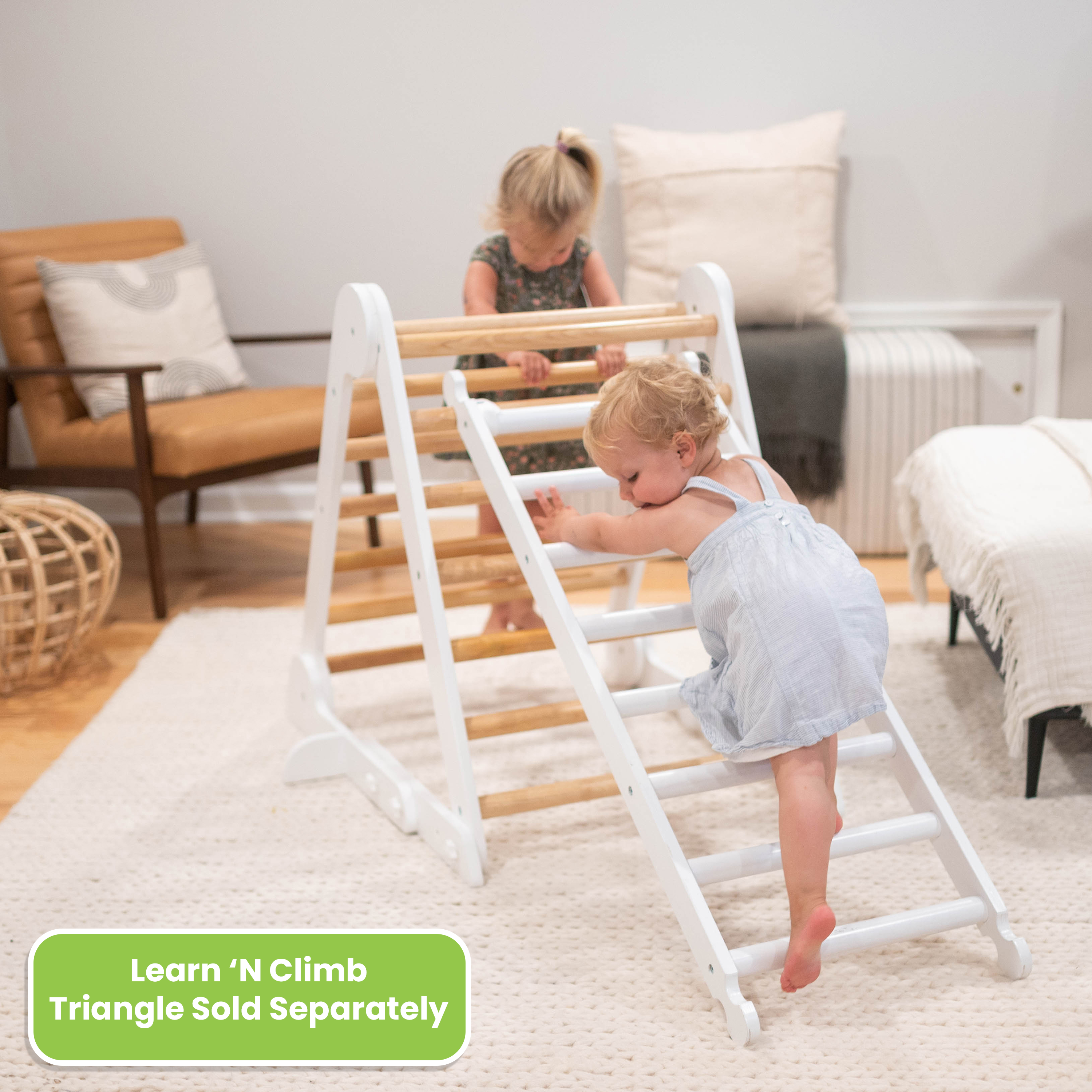Climbing Ladder
