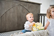 Relic Winchester 4-in-1 Convertible Crib