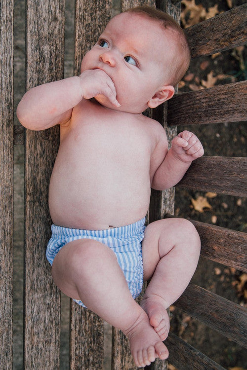 Bloomers/diaper Cover