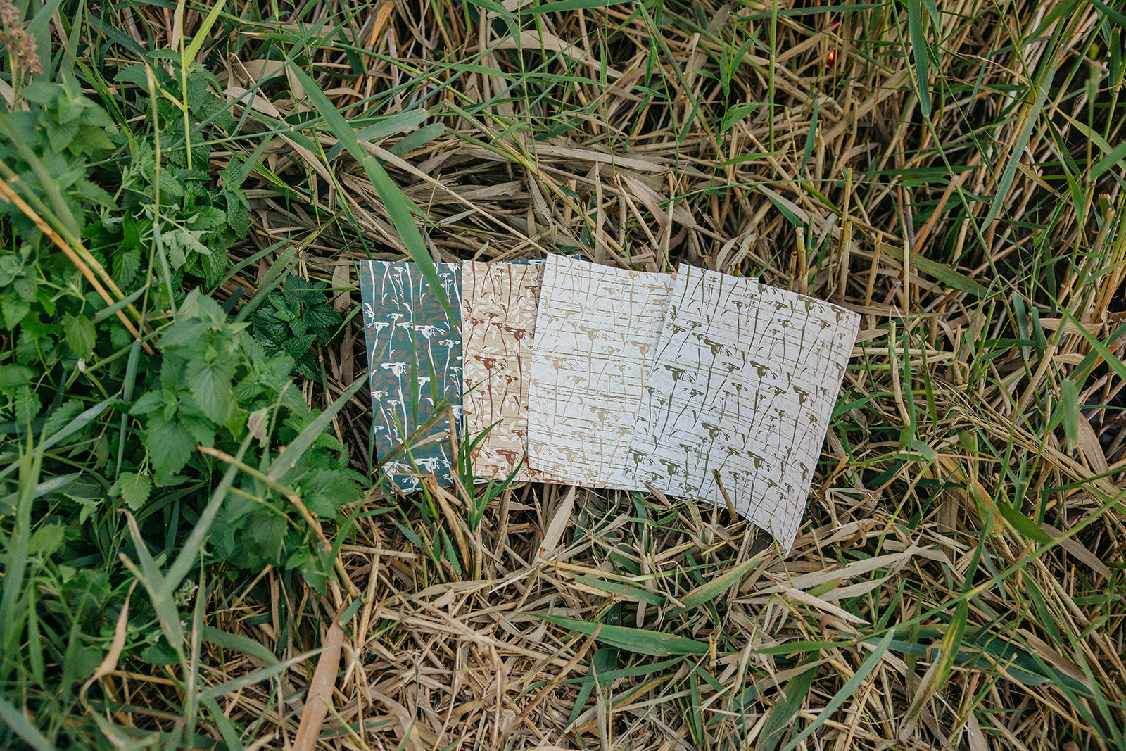 Prairie Wallpaper By Cassandra Zaniboni