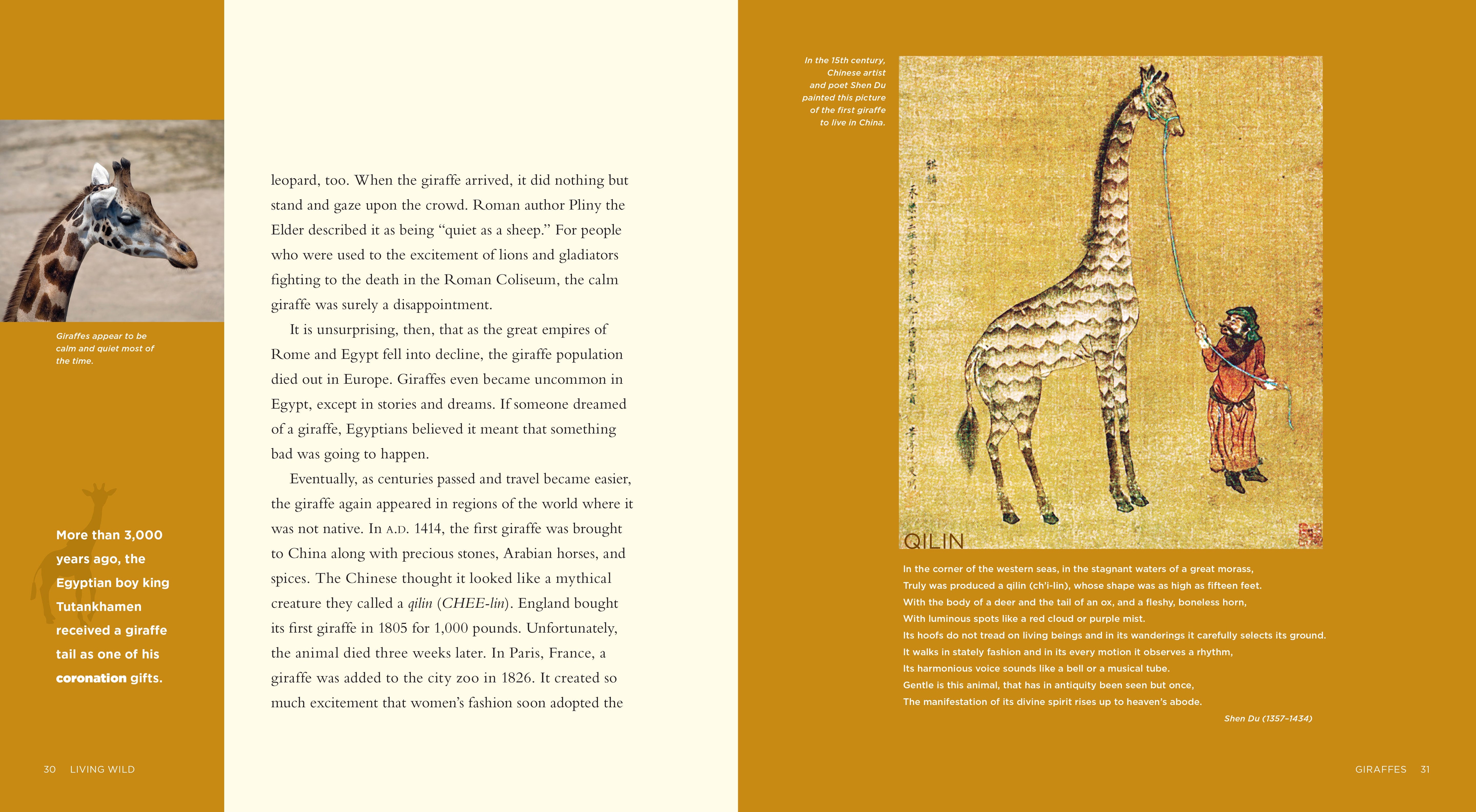 Living Wild - Classic Edition: Giraffes by The Creative Company