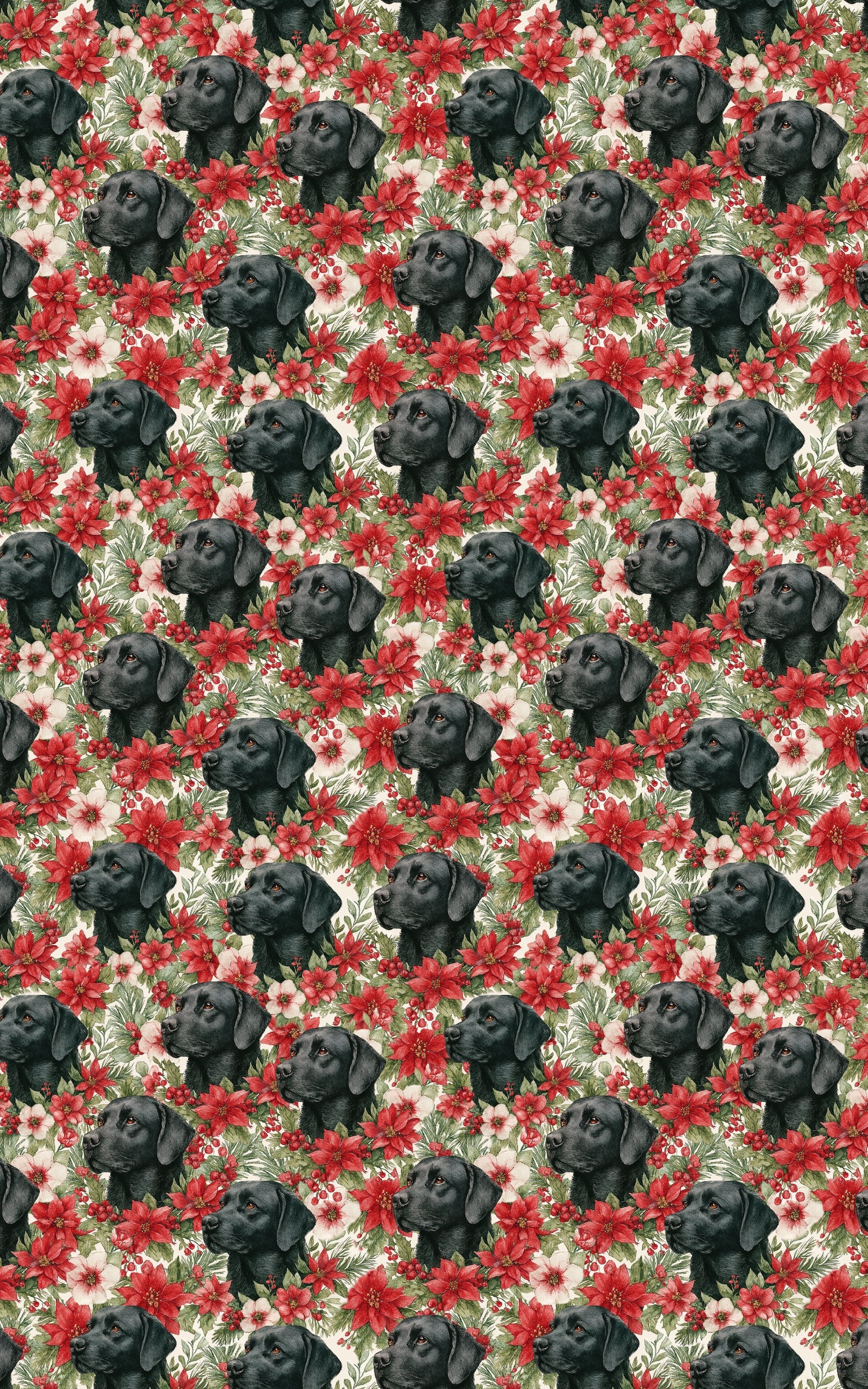 The Mistletoe Watcher