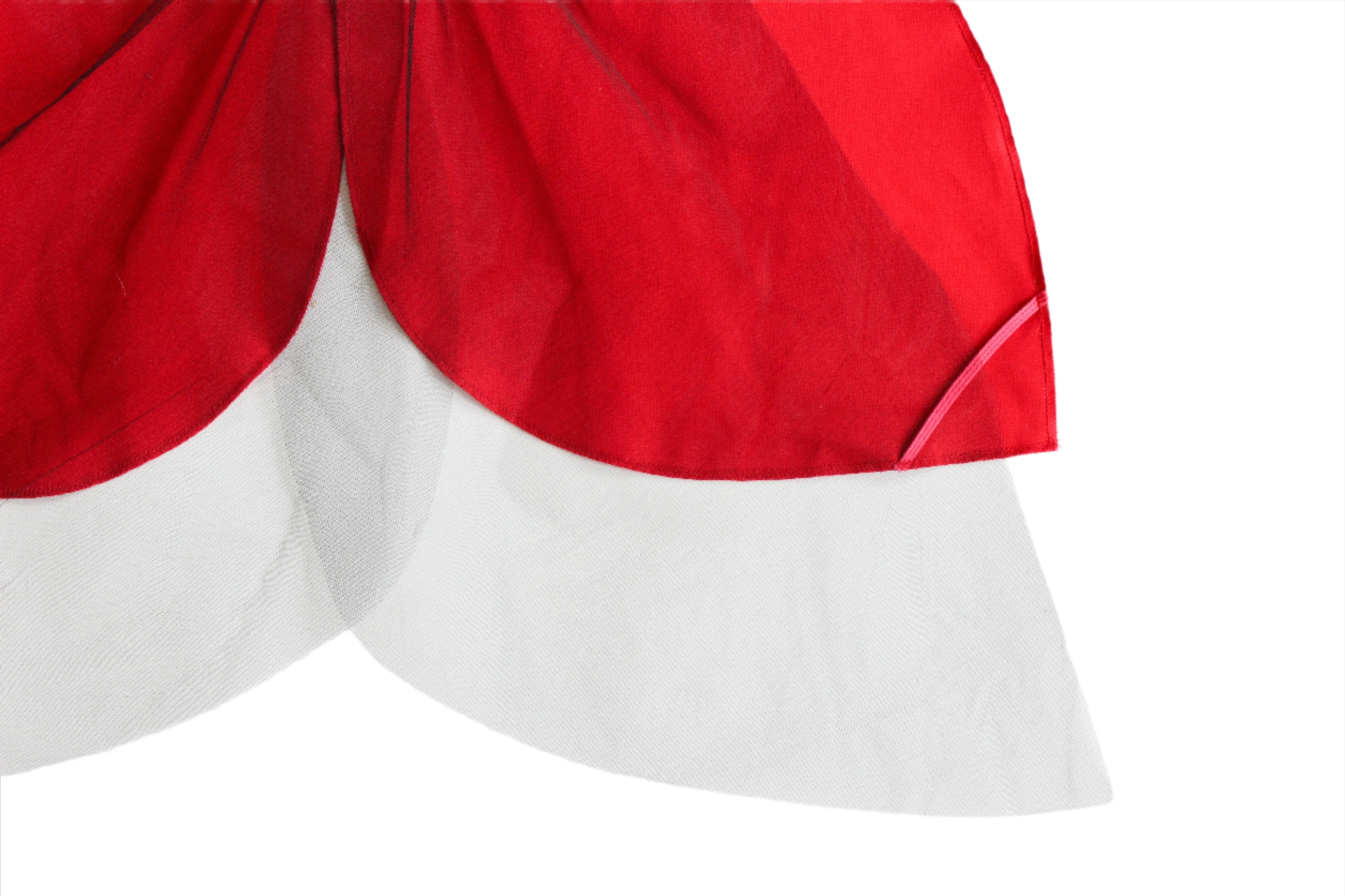 Ladybug Wings Costume