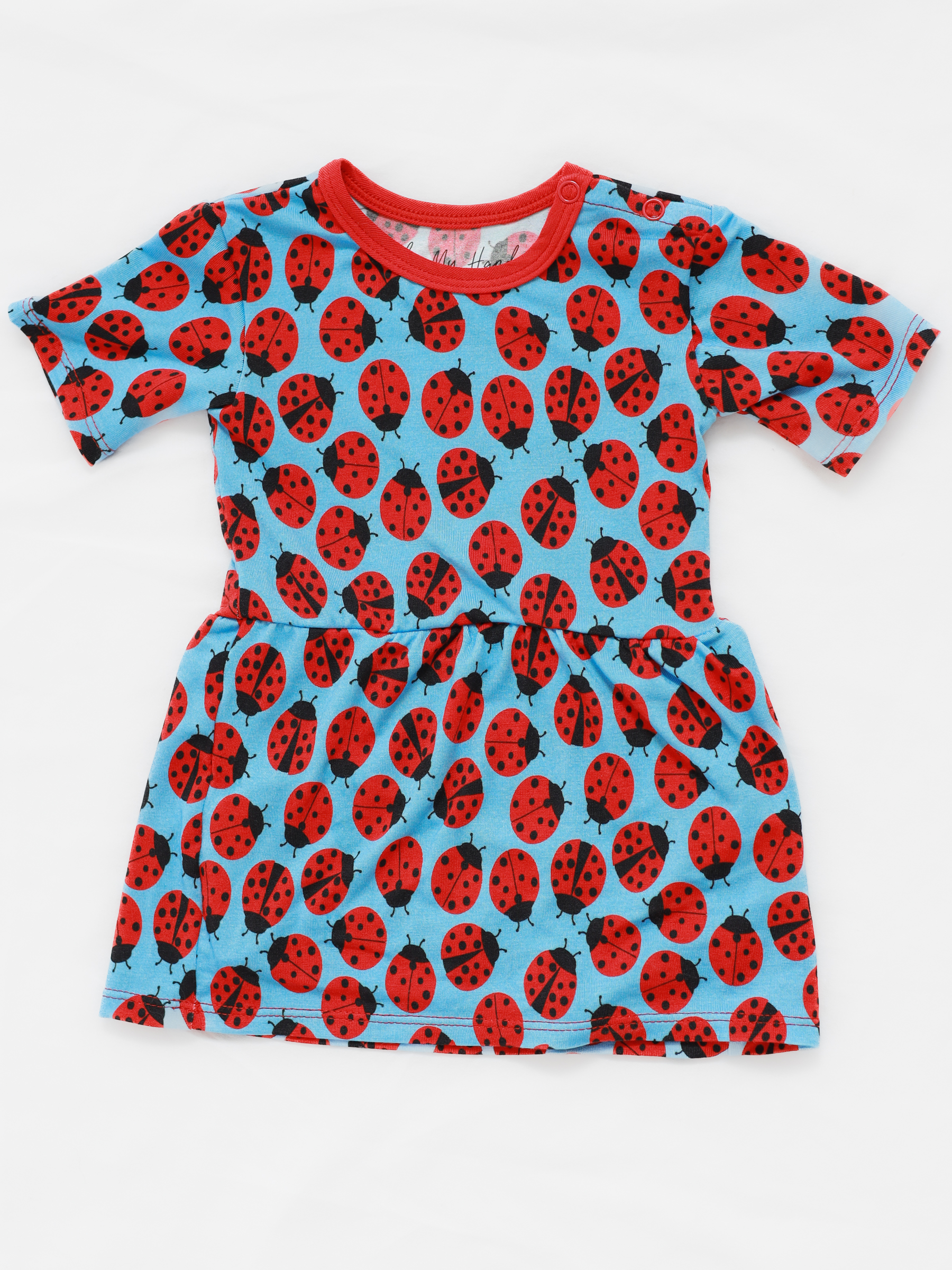 Ladybugs Ballerina Dress