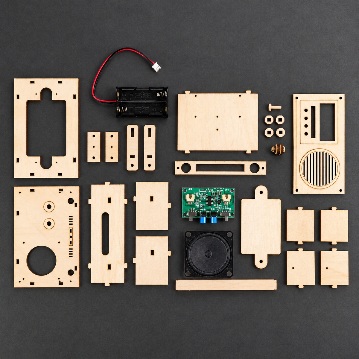 Voice Recorder STEM Kit — Record 60 Seconds of Sound