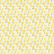 Lemon Tree Contact Paper  - Pack Of 3 Rolls (24x48" Each)