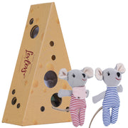 Baby Mice In Cheese Box