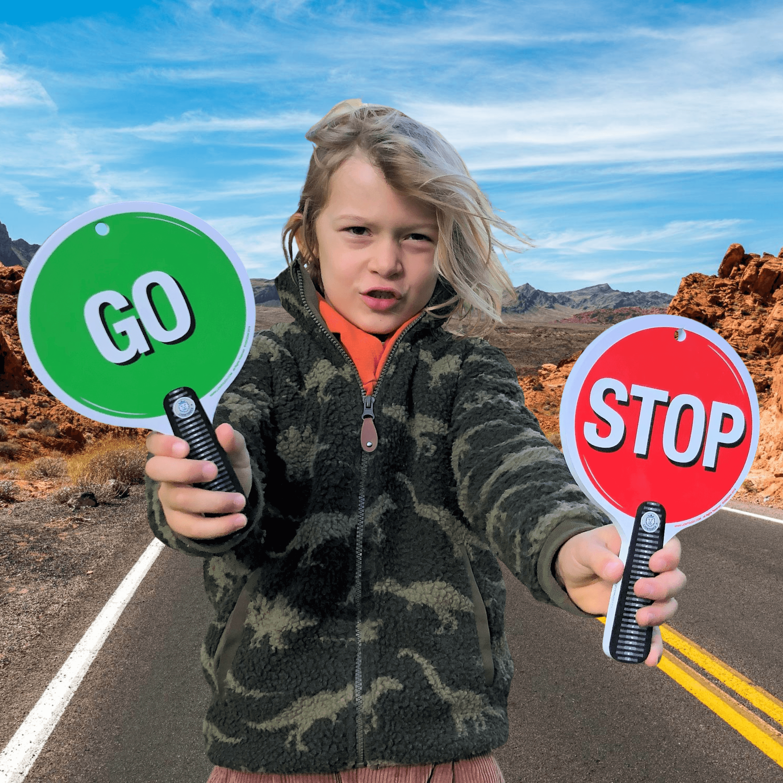 Stop & Go Sign