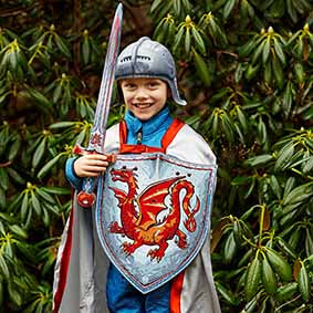 Amber Dragon Helmet