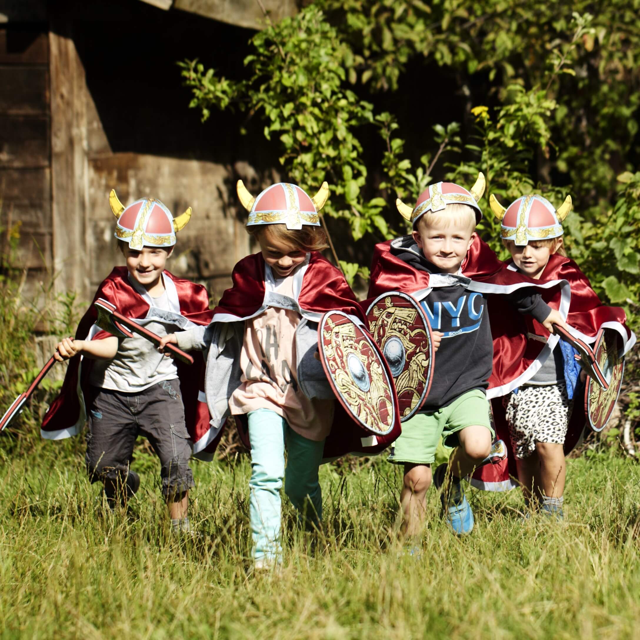 Viking Helmet