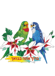 Lucite Diamond Art Birds