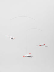 Lucky Storks.
