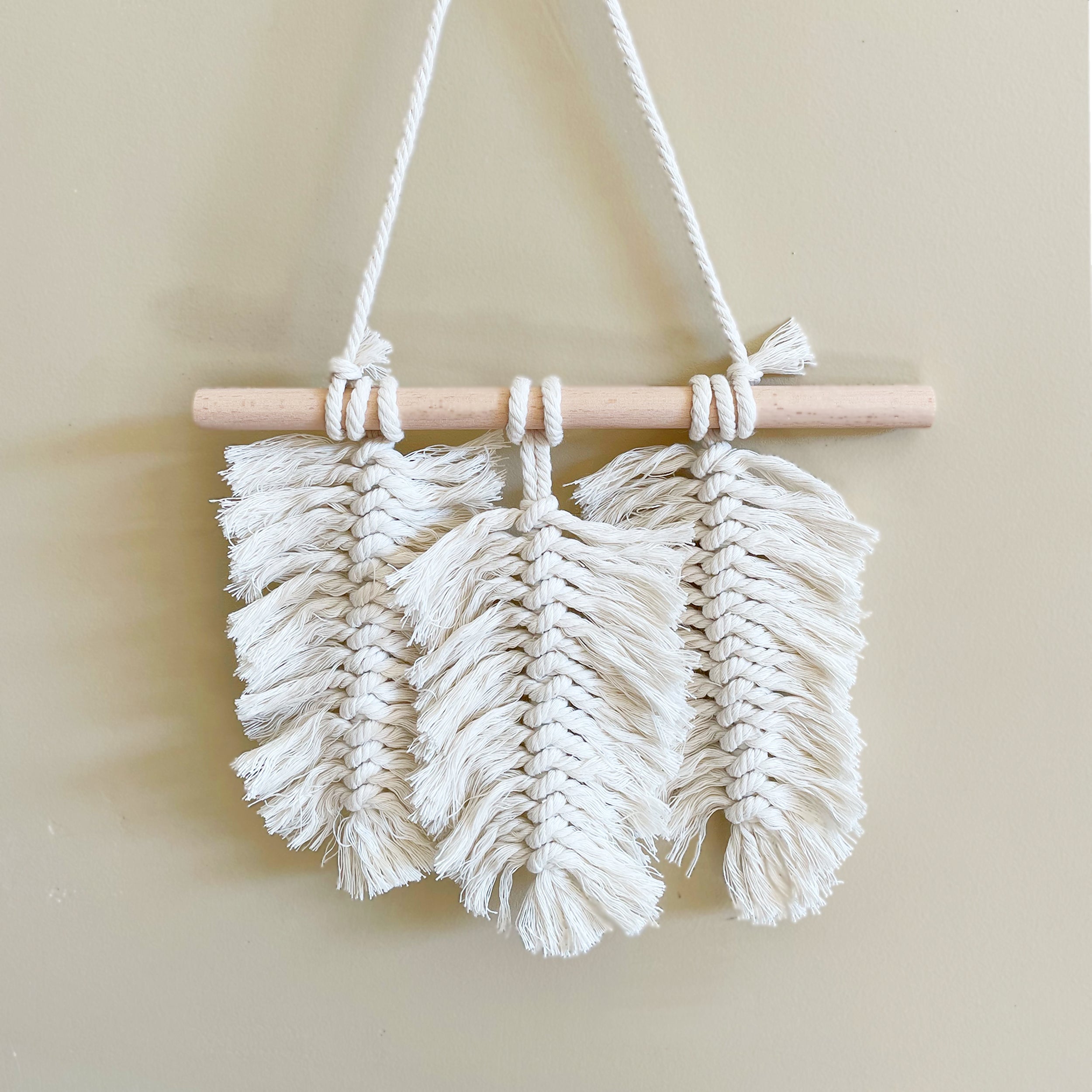 Diy Macrame Feather Wall Hanging Kit