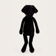 Max The Labrador