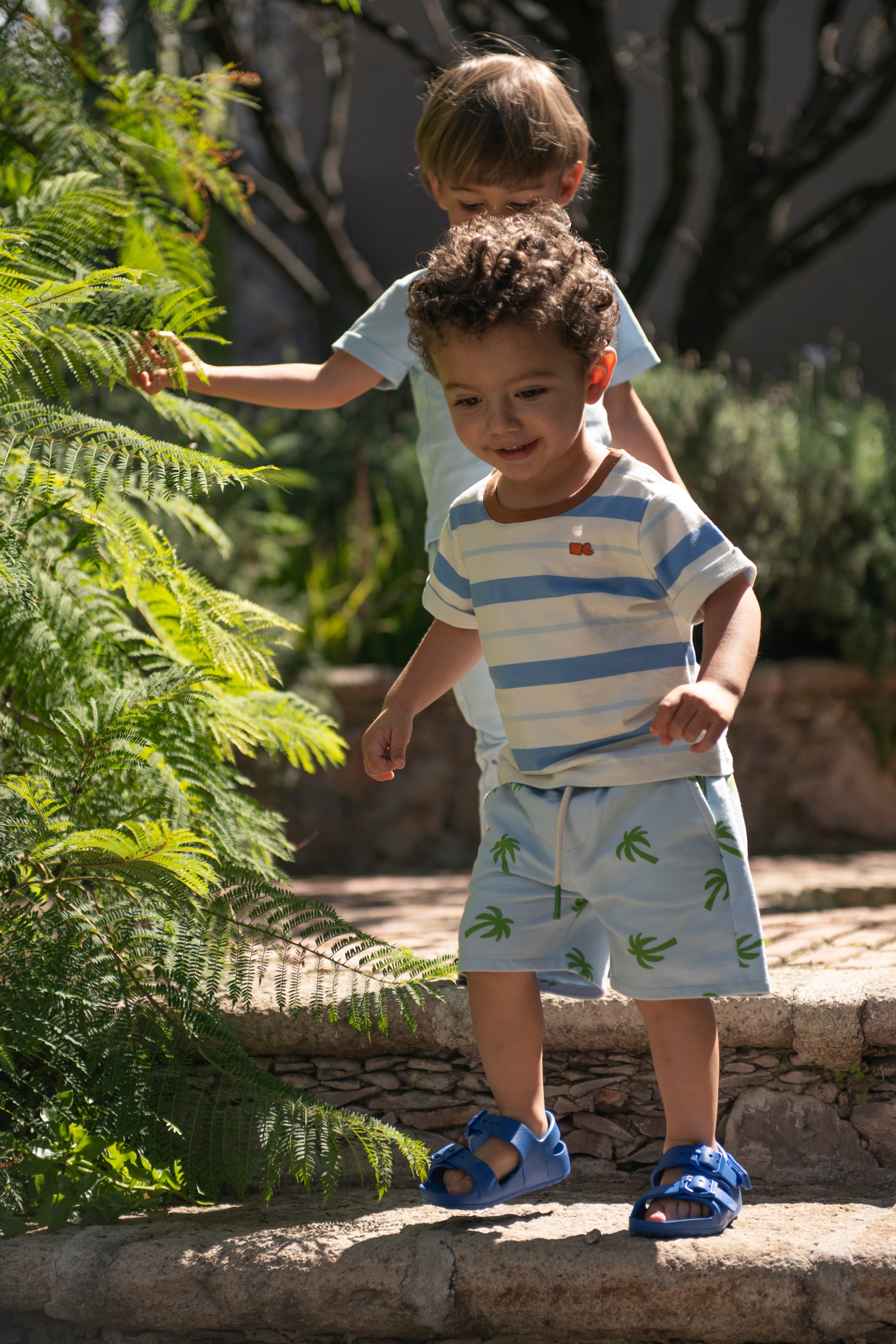 Palm Tree Swim Trunk
