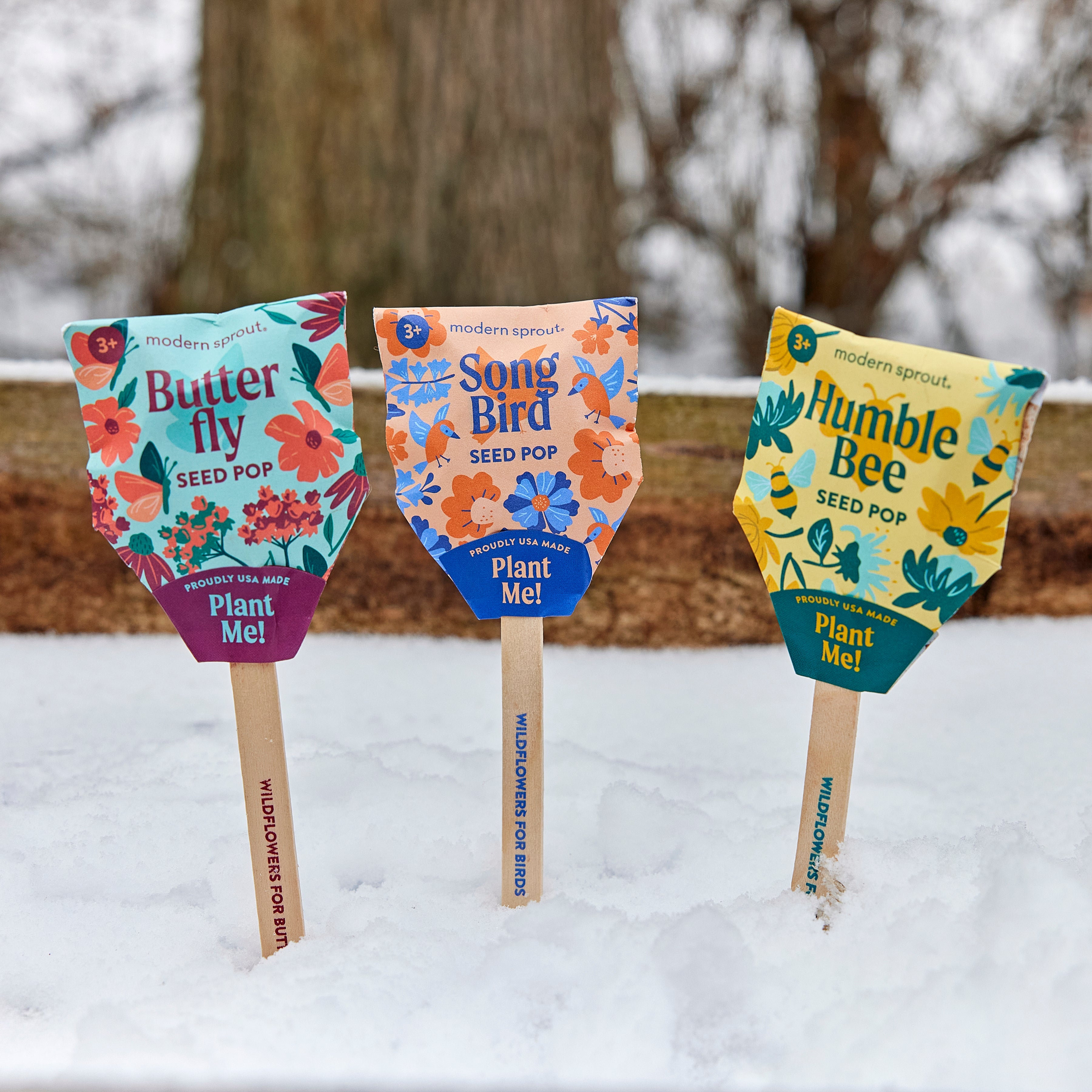 Seed Pops - Pollinator