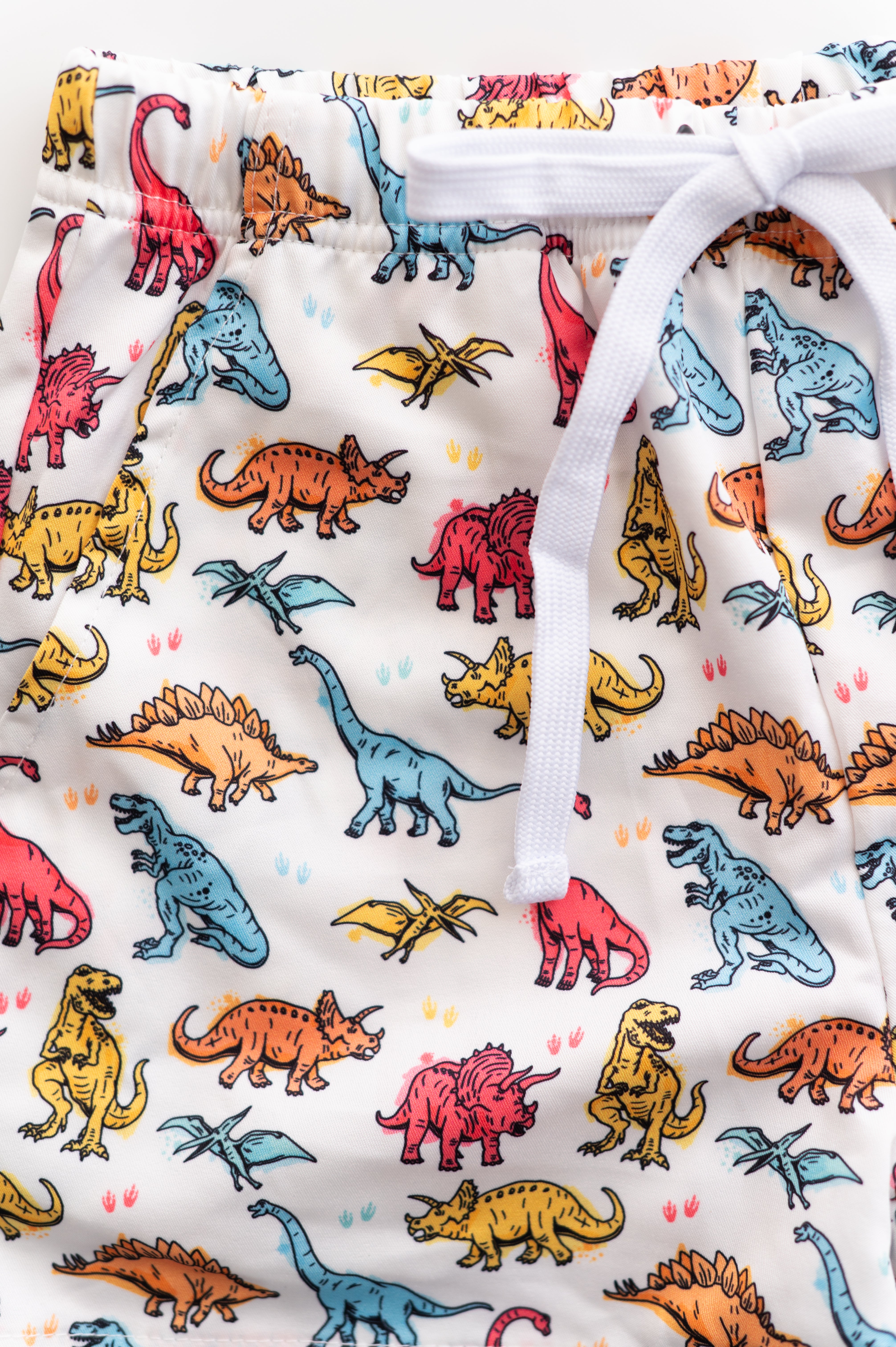 Color Me Dino Dream Swim Trunks