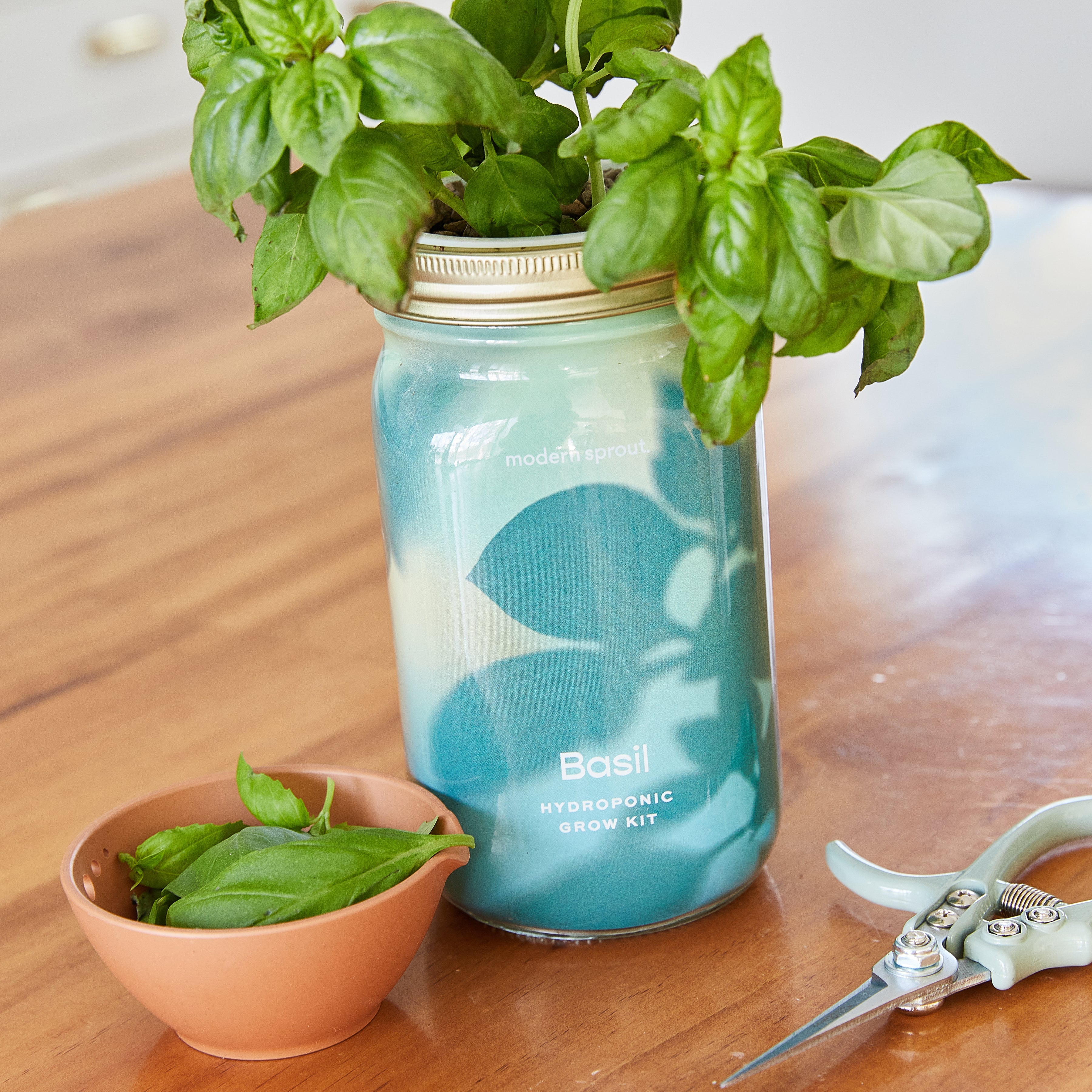 New! Garden Jars - Organic Herbs