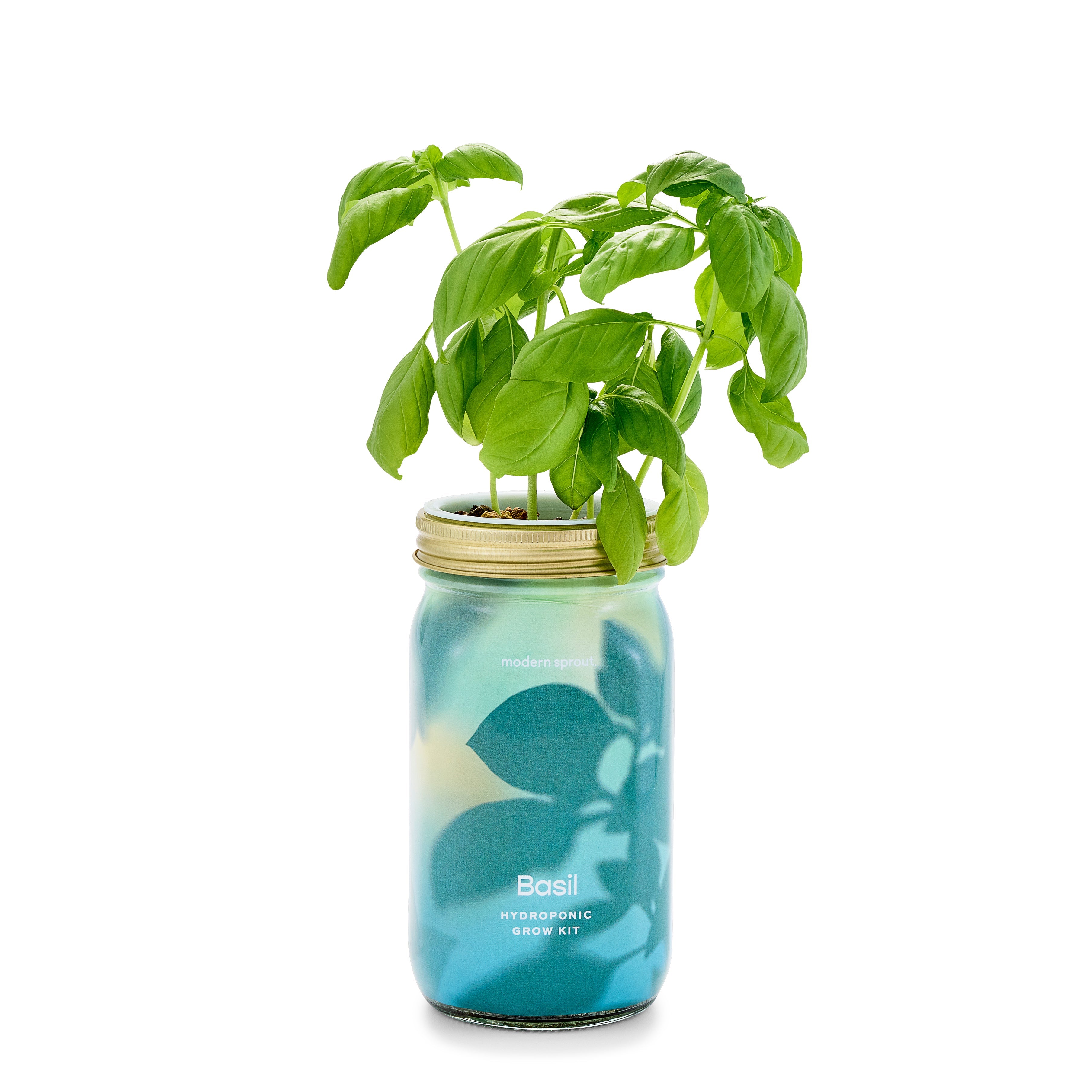 New! Garden Jars - Organic Herbs