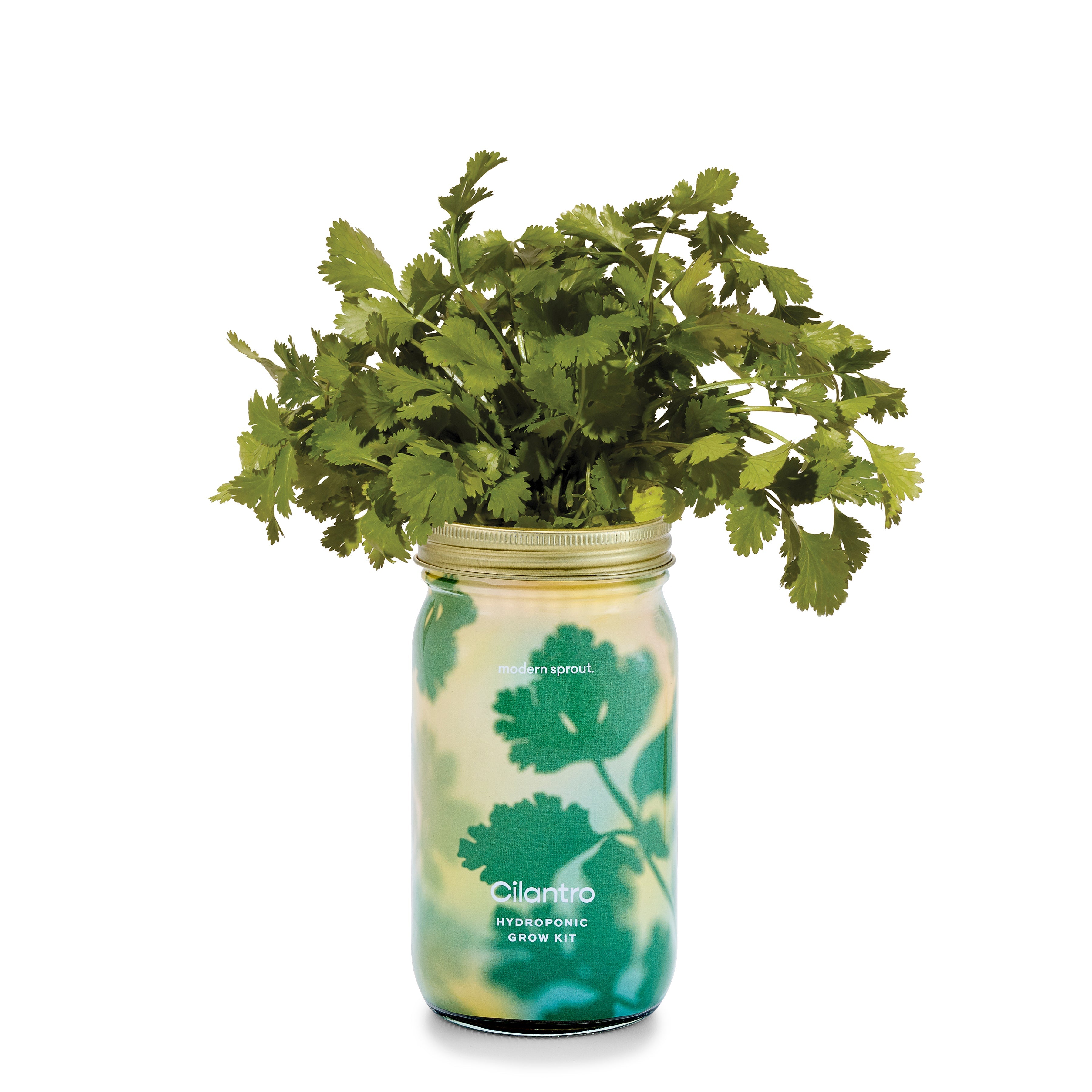 New! Garden Jars - Organic Herbs