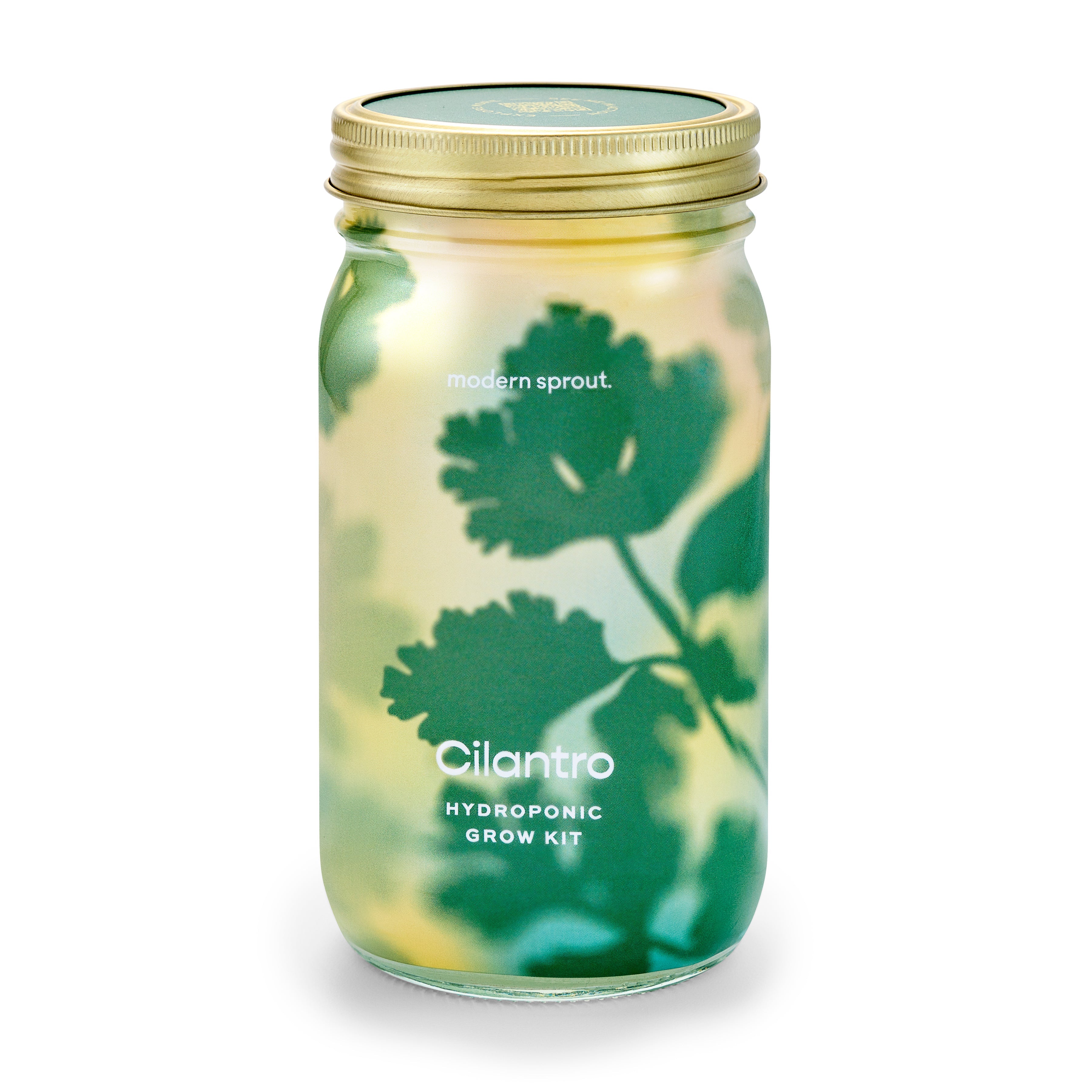 New! Garden Jars - Organic Herbs