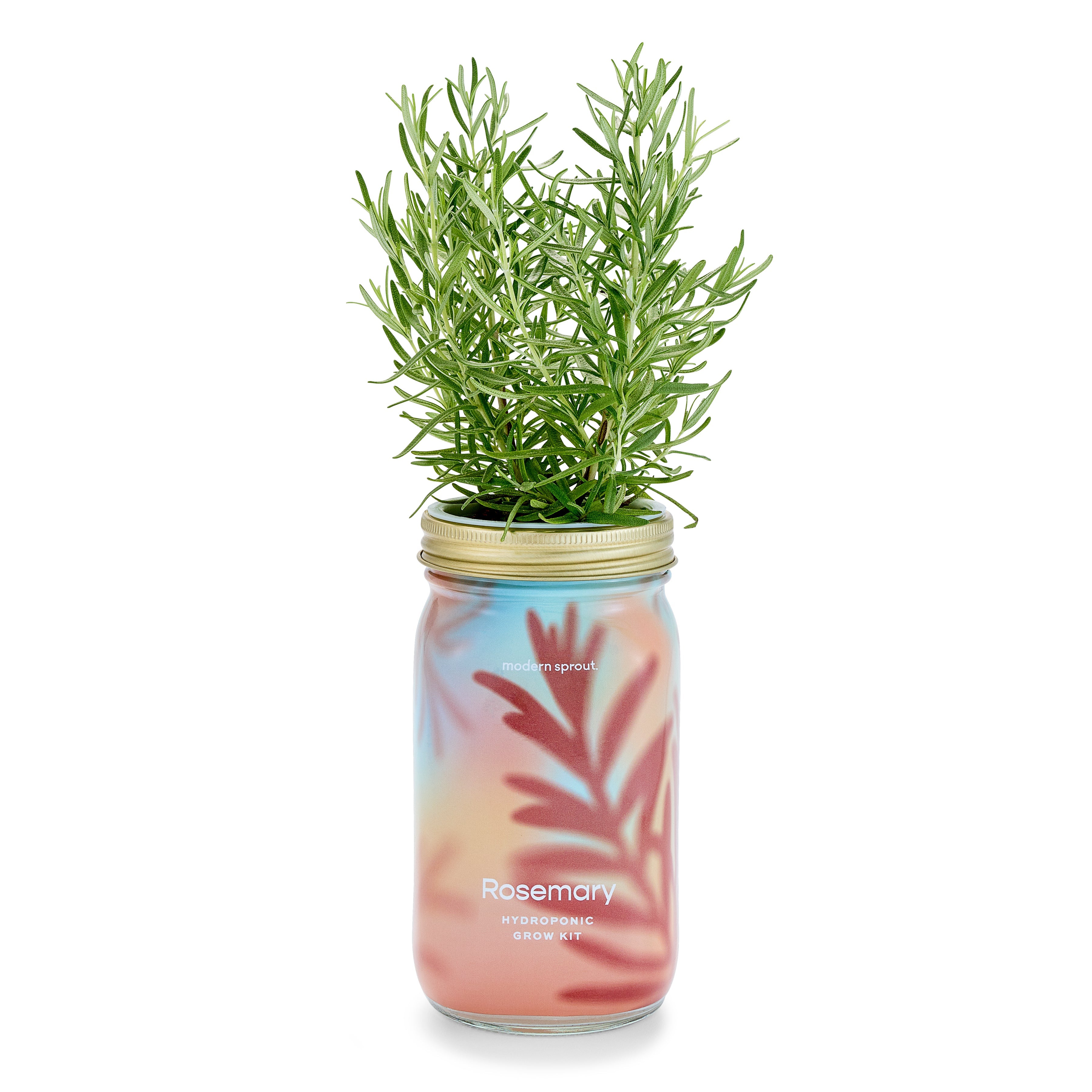 New! Garden Jars - Organic Herbs