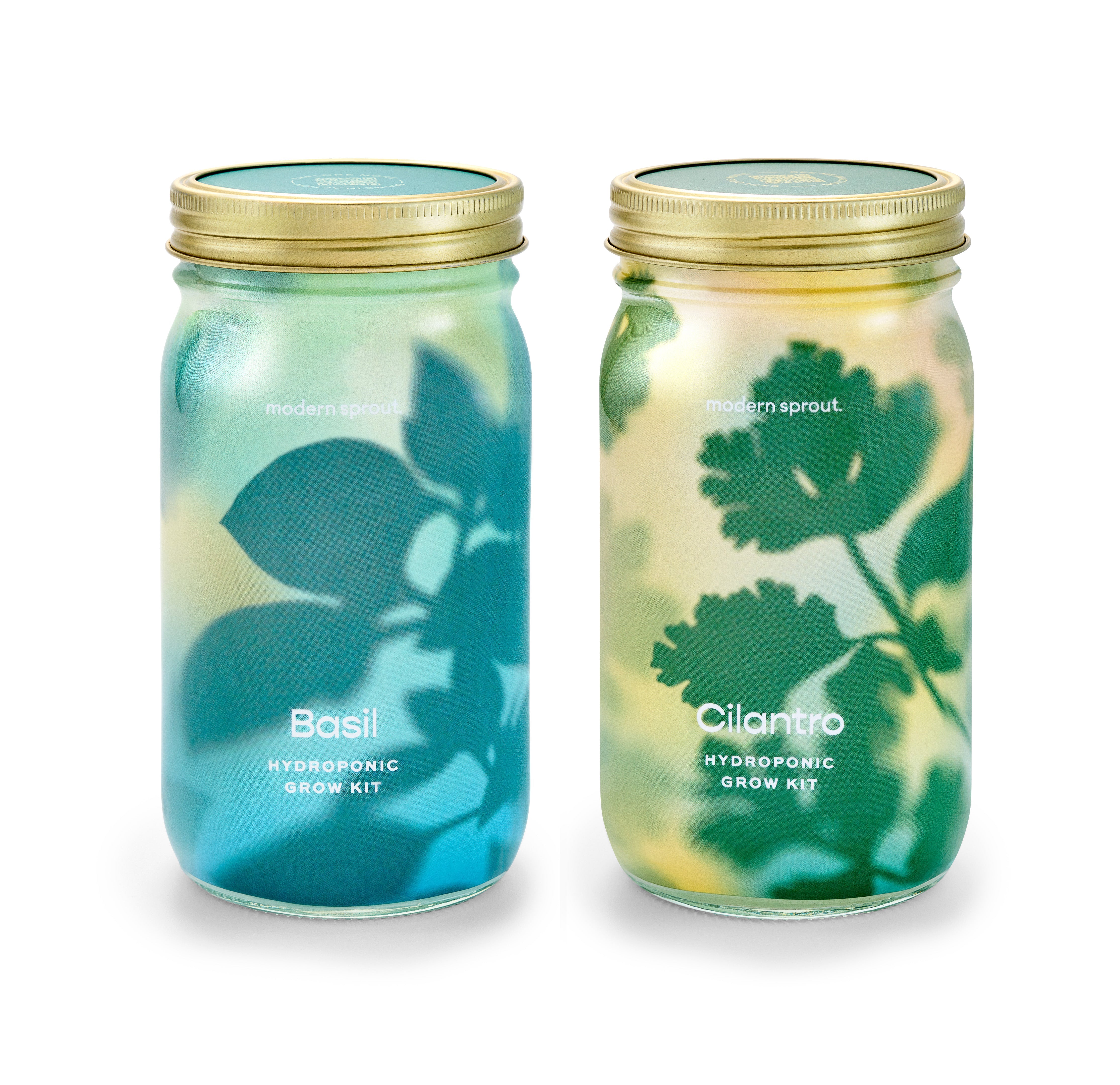 New! Garden Jars - Organic Herbs