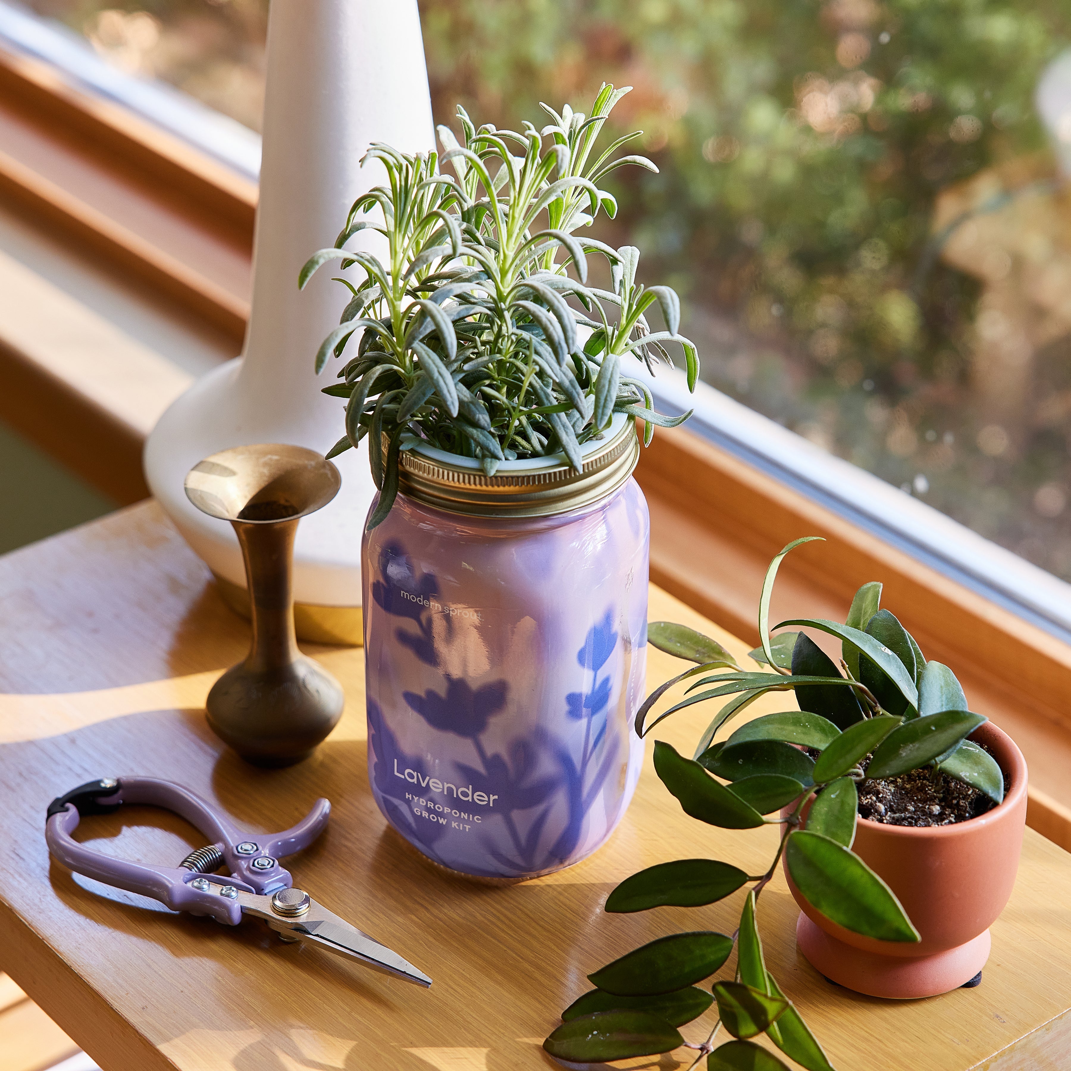 New! Garden Jars - Organic Herbs
