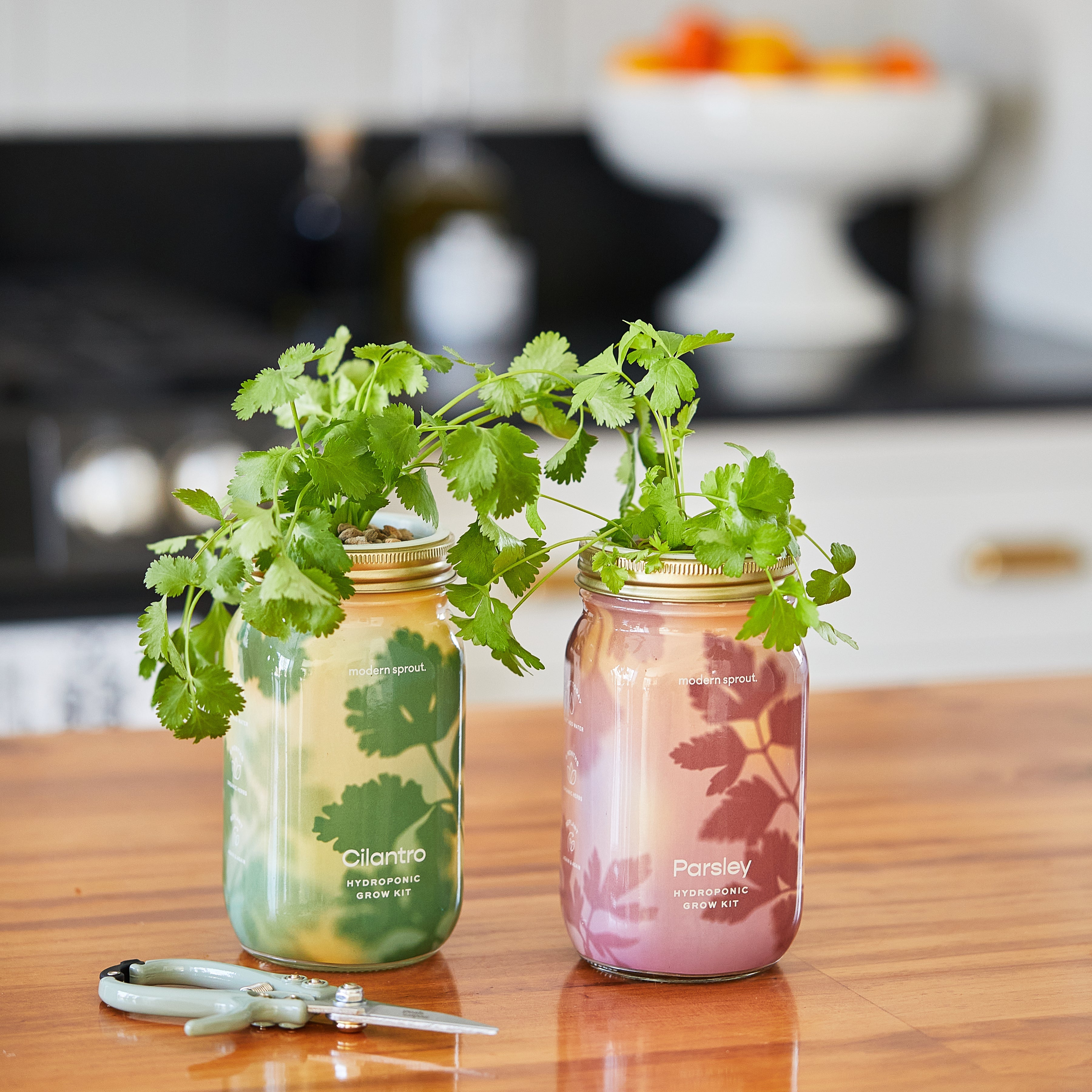 New! Garden Jars - Organic Herbs